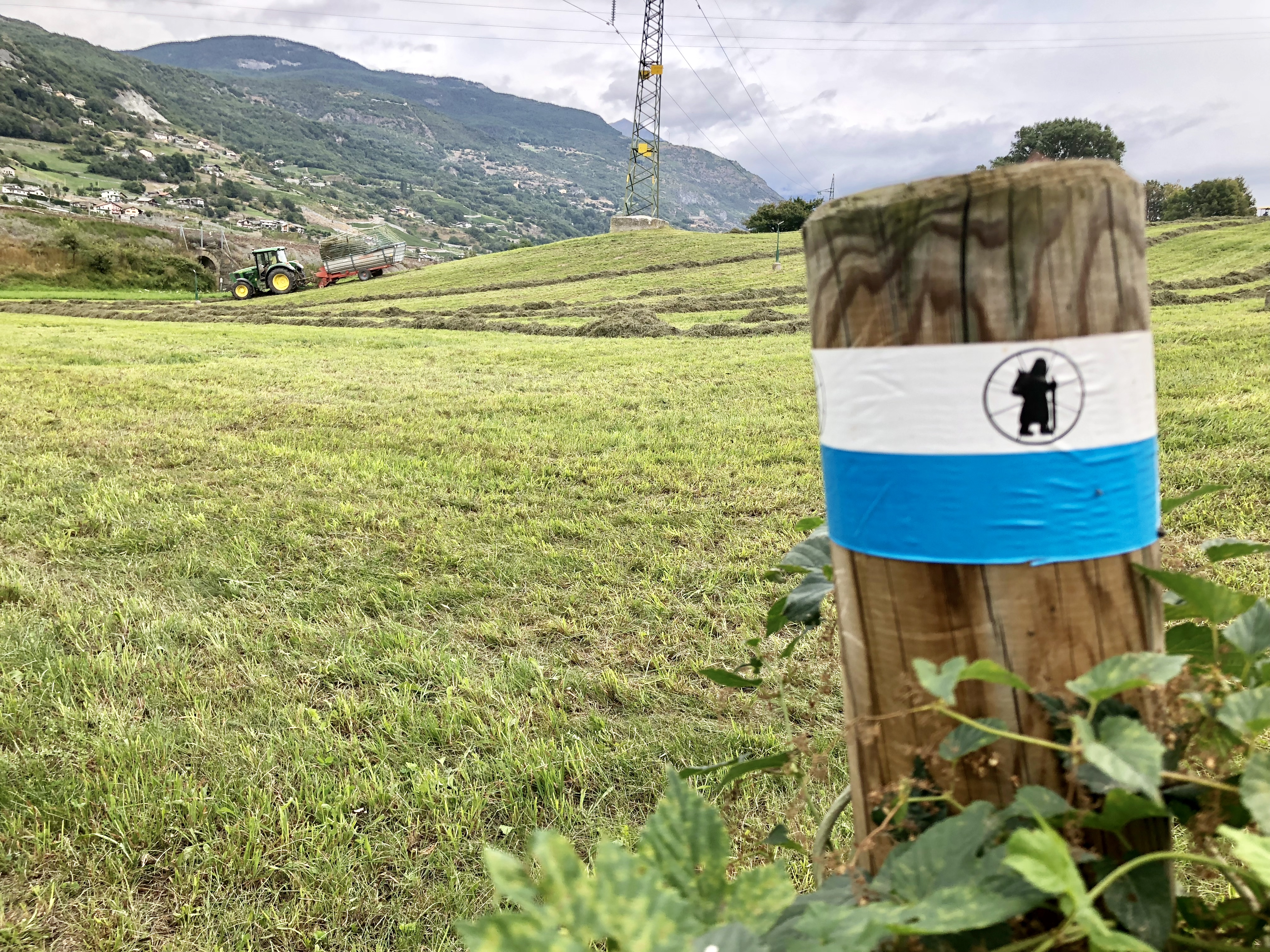 00212D46-3F67-41D7-B552-5A776122CDD5