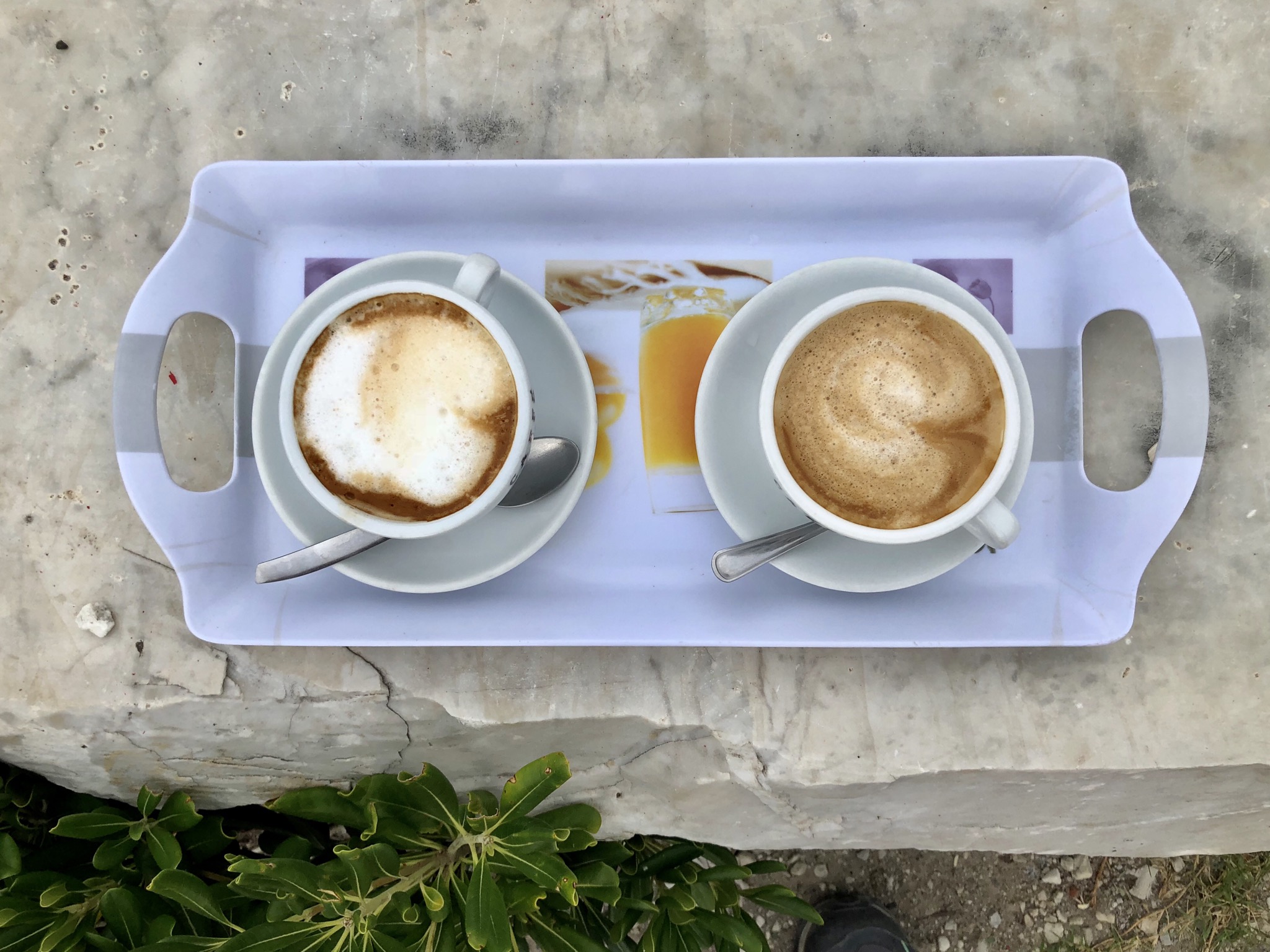 0E4970FF-C376-457D-A019-25C658AB9366