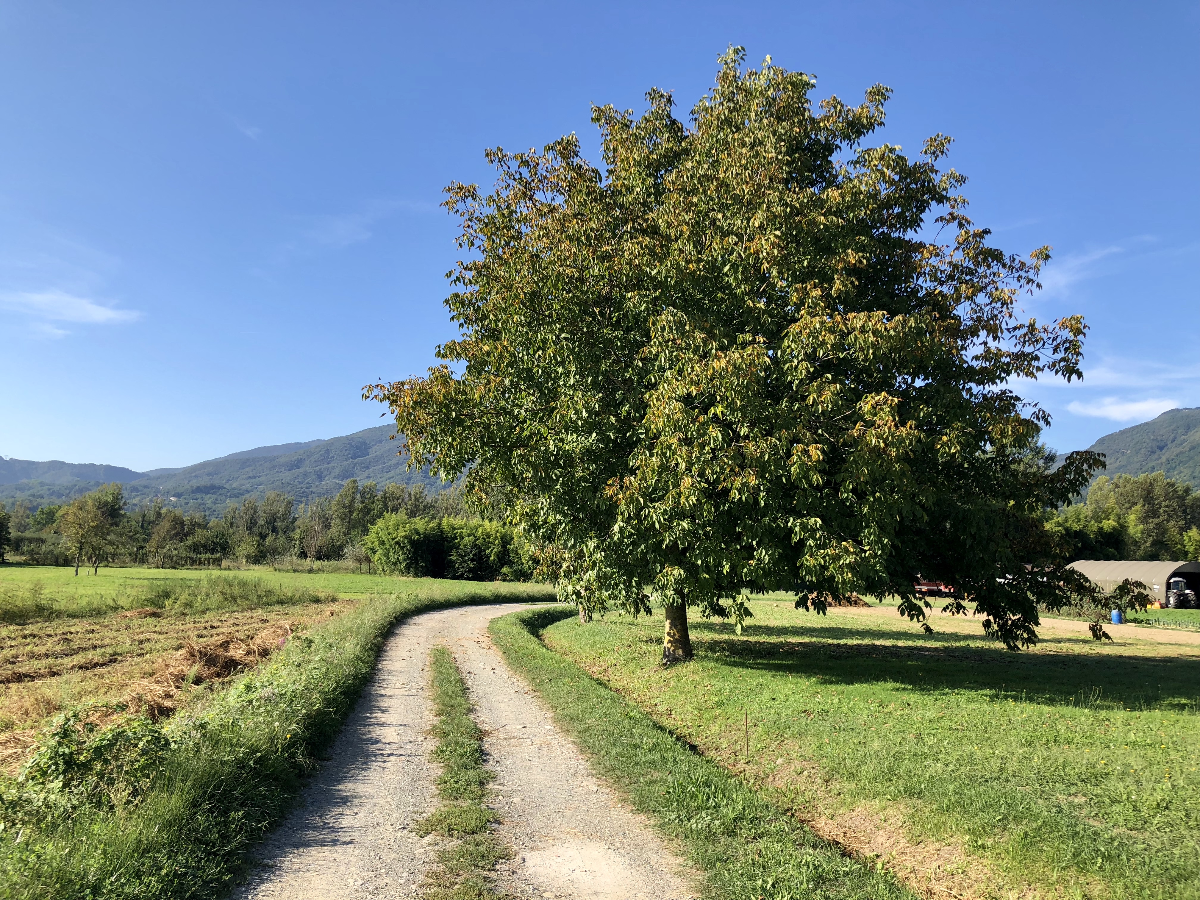 0F628518-53FB-420C-B33E-D33DC1DFBECF