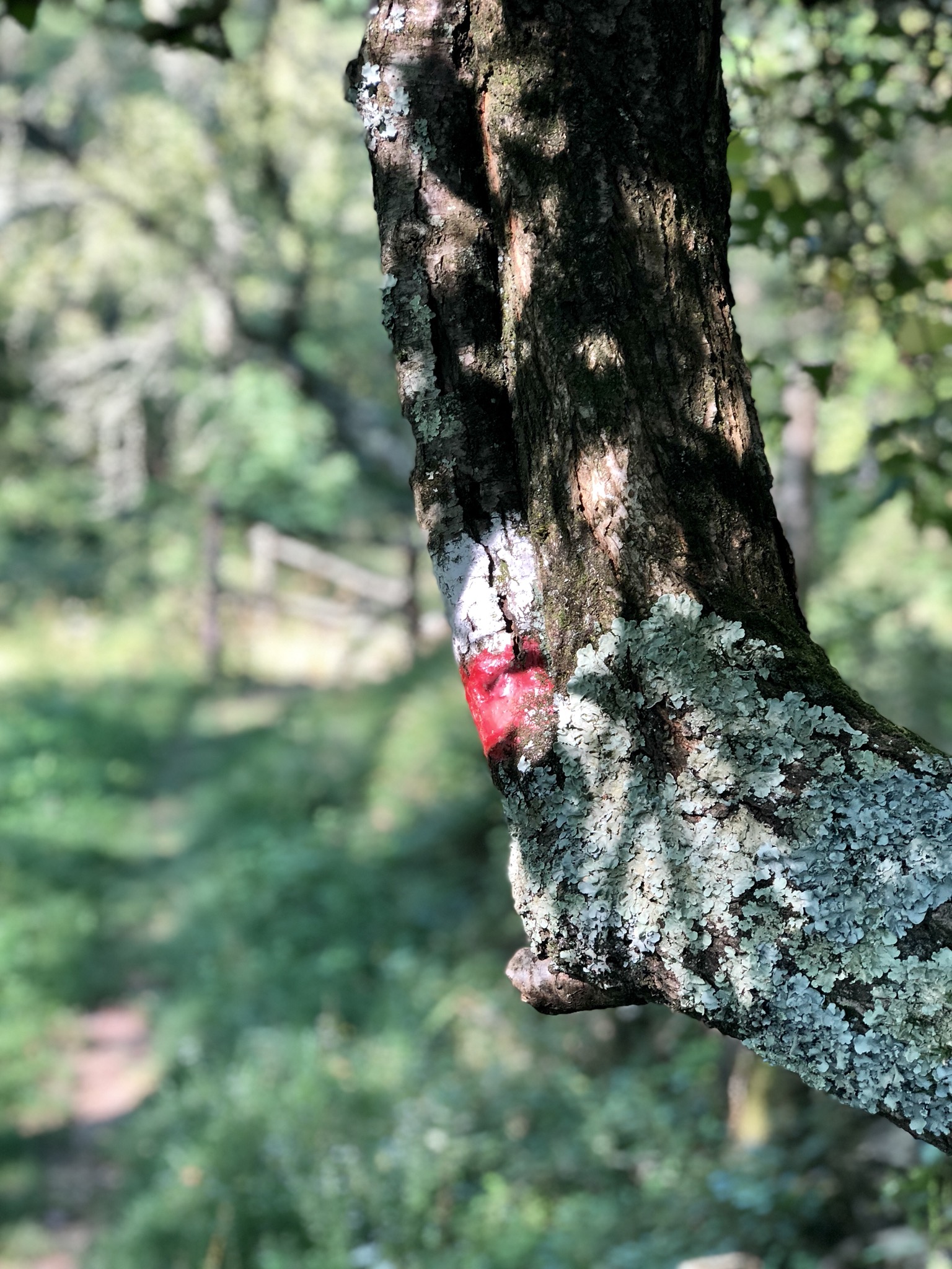 1430707B-5385-43F4-A4A9-750F508359CB