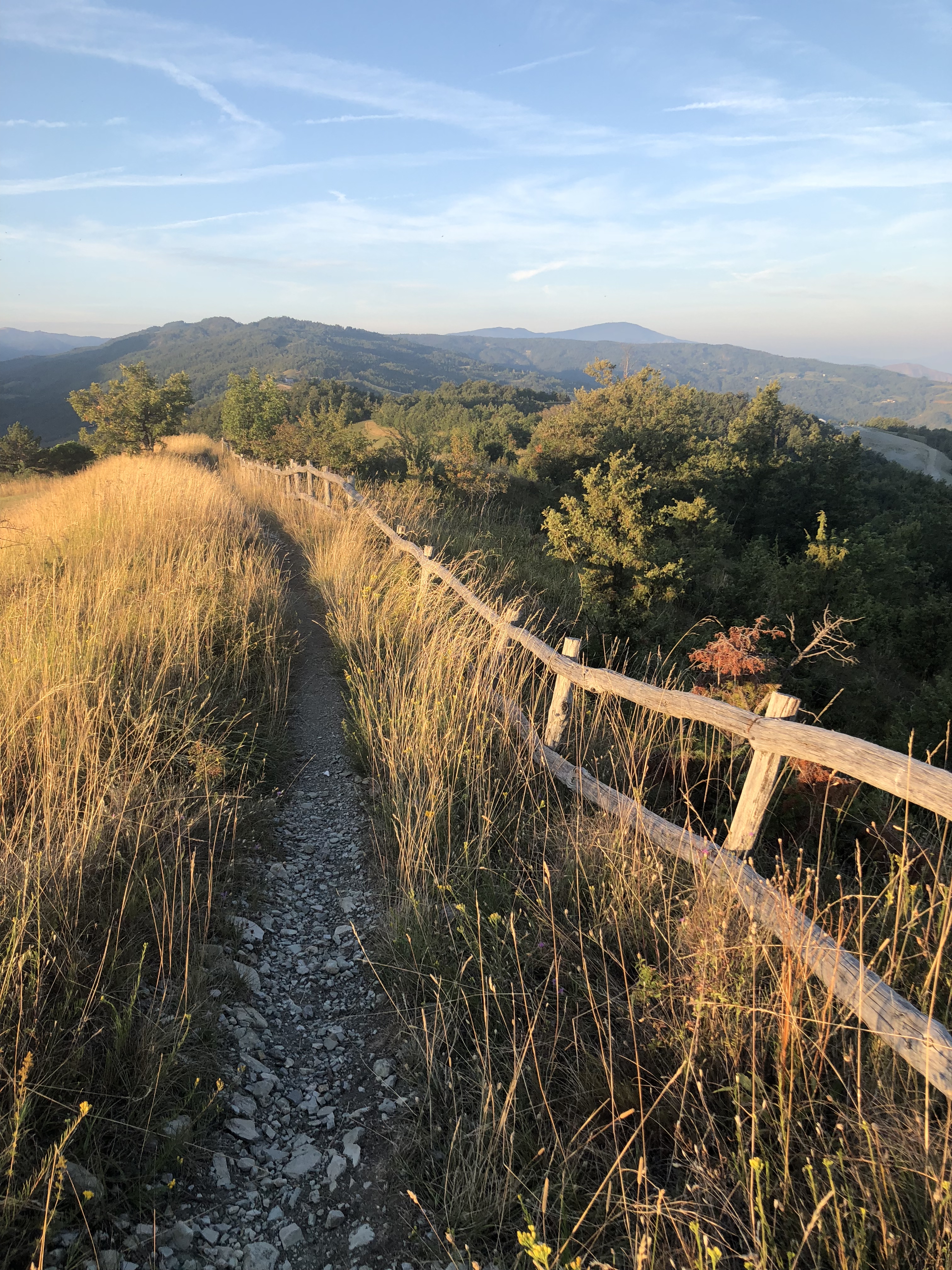 194A3870-F01F-4AE6-8A3D-67F213E070D4