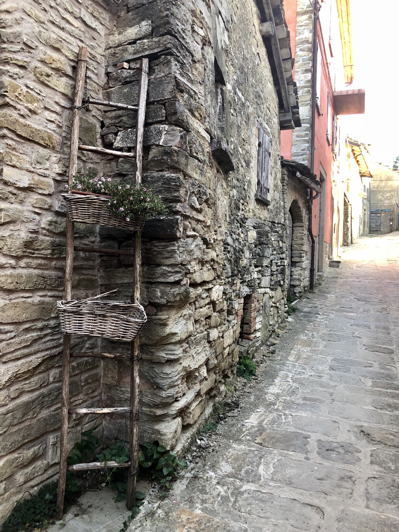 1C2BD1F8-0F7D-4F56-A241-9BF2E6BB99FF