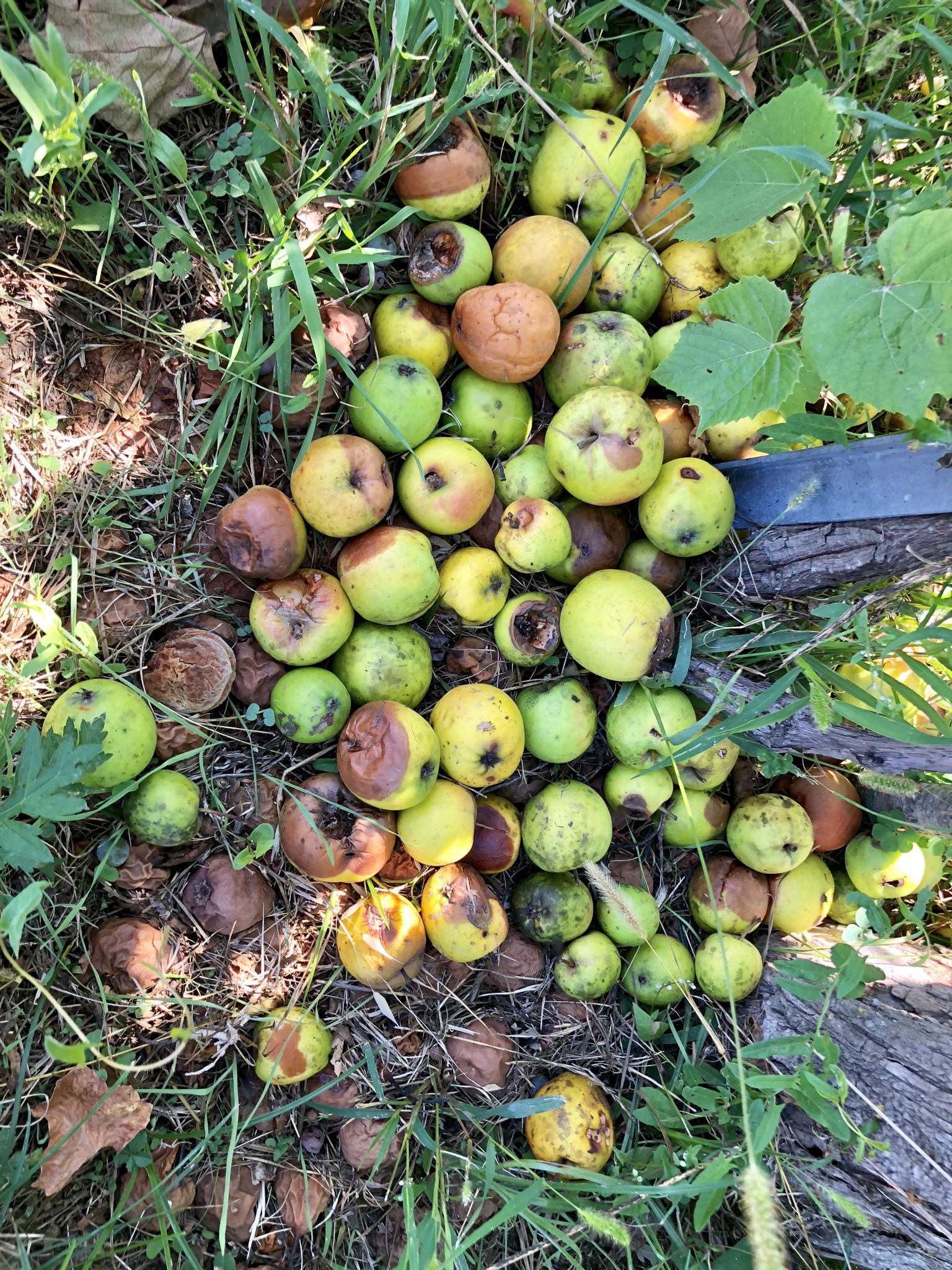 2ABE6CDE-574E-497A-9E95-F9B47833C797