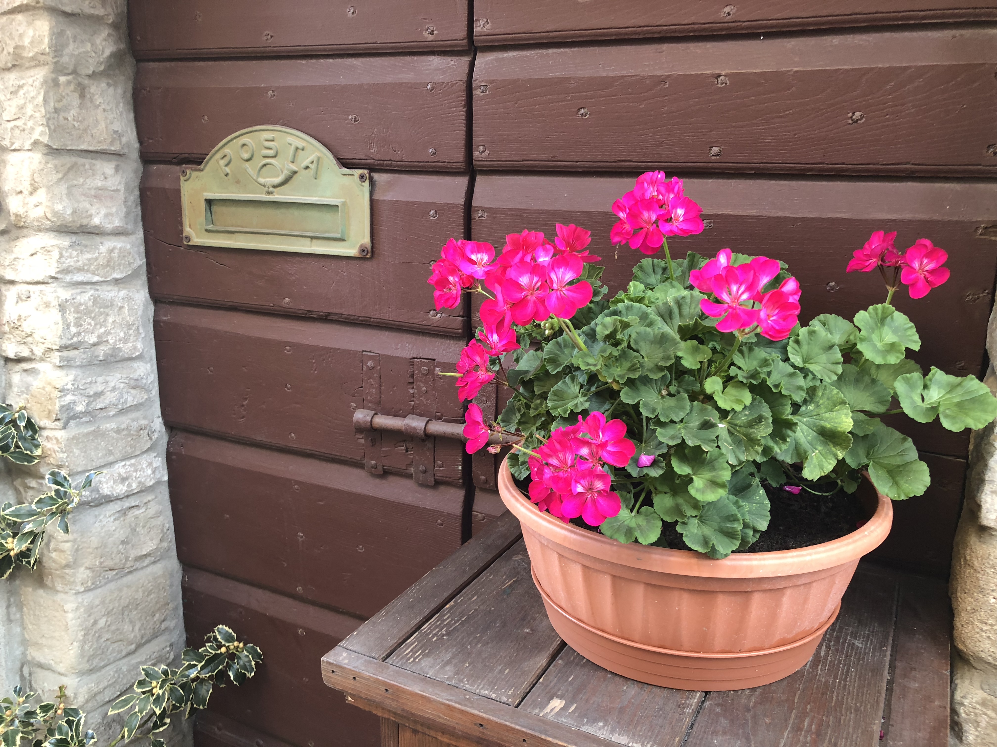 304294E6-BDC8-4D87-9B0C-F7D3712962BF