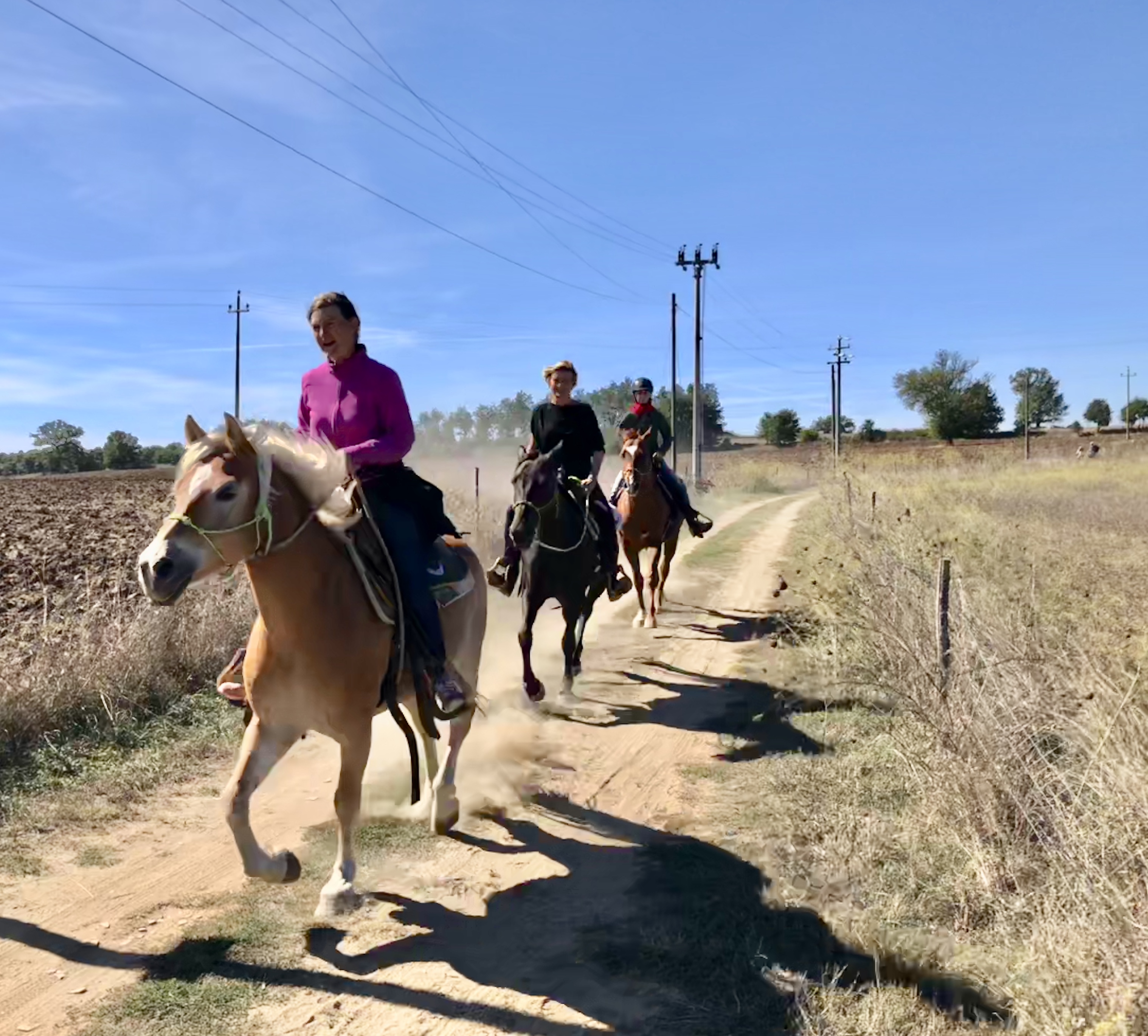 3537DCDF-3817-4C75-840D-B12100A6CCDE