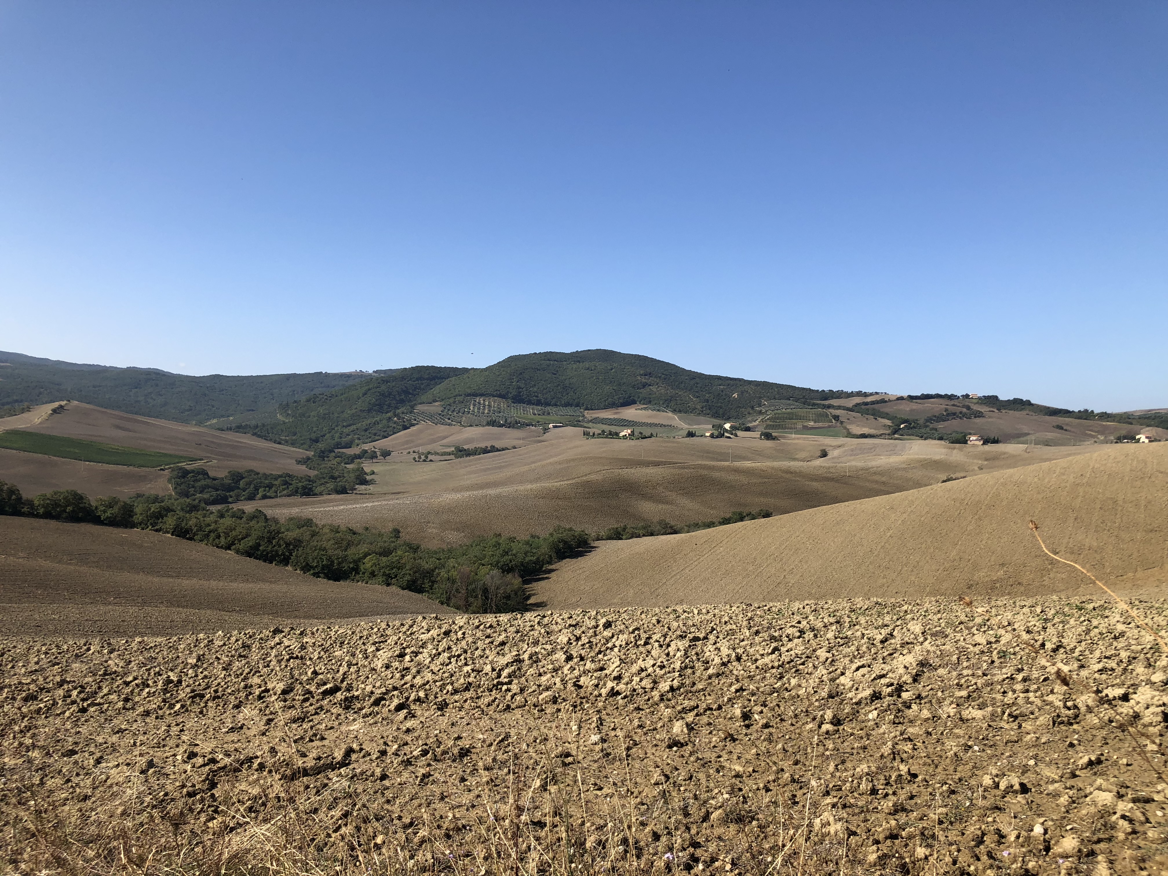 3FC73E61-75B4-4B31-BDD5-139DB9DE220E