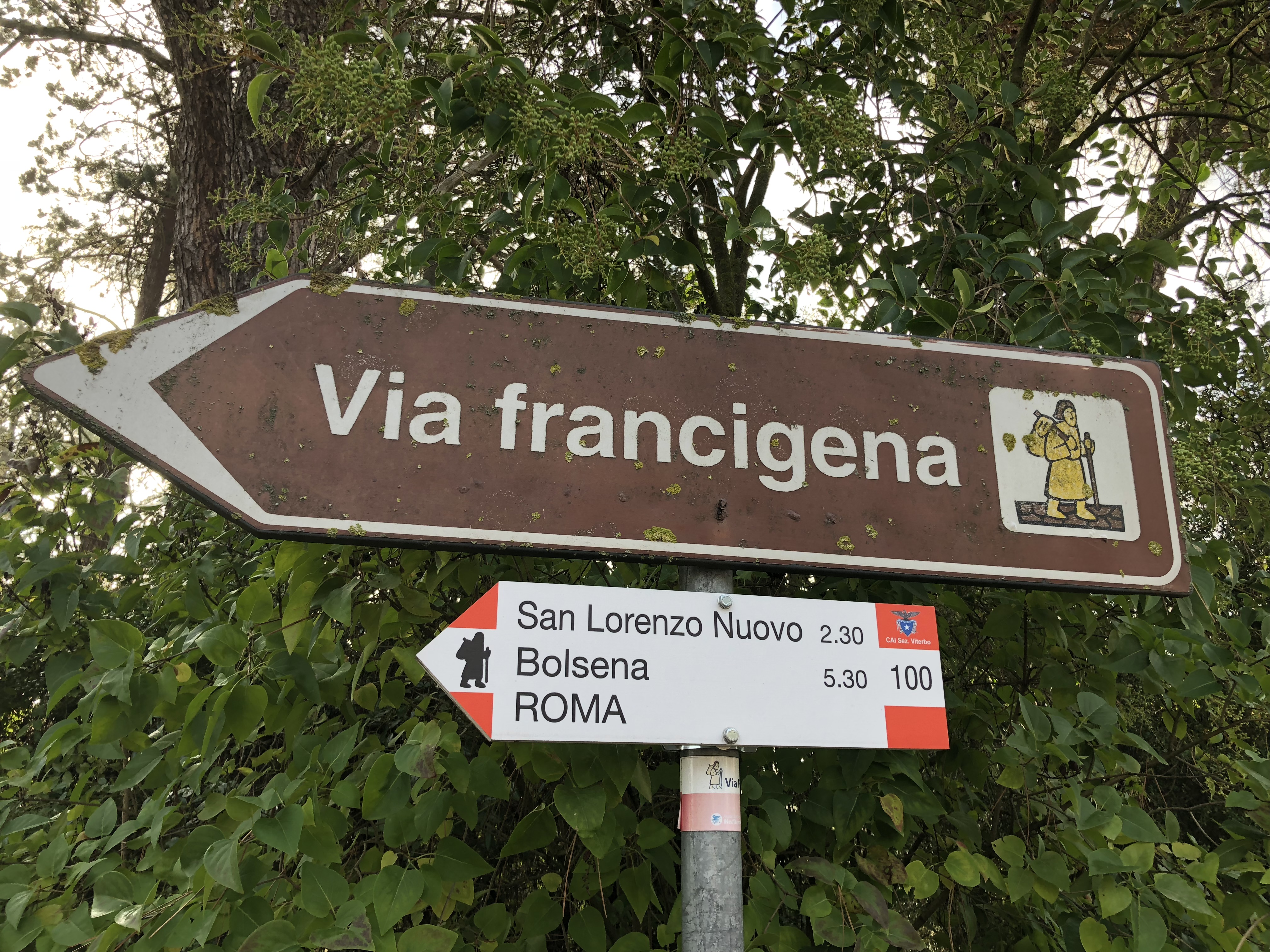 45D12960-1D45-43BC-AFFB-4FFA4E860EA6