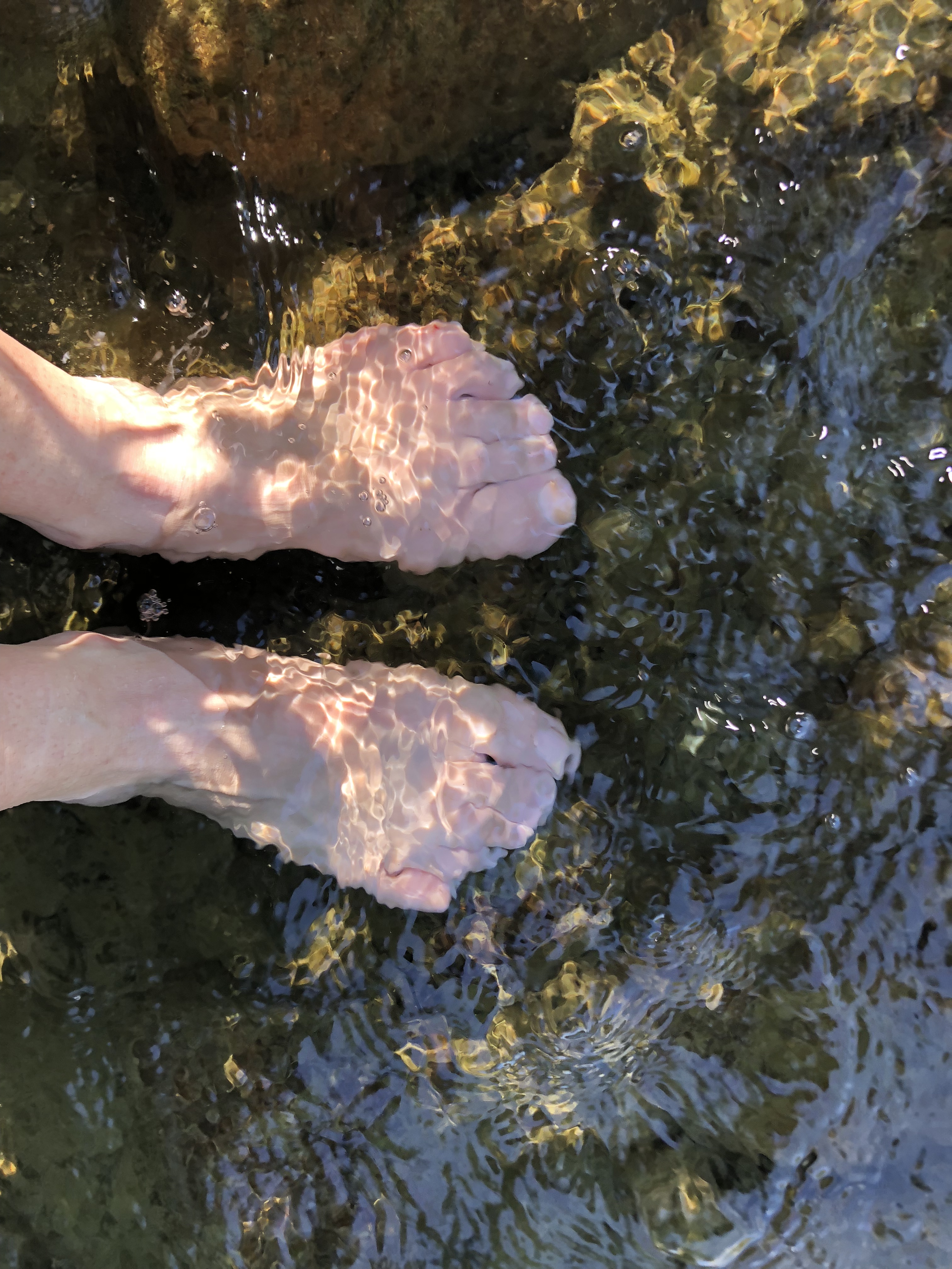 4836C58E-D9D5-48E8-977C-0B565A89703B