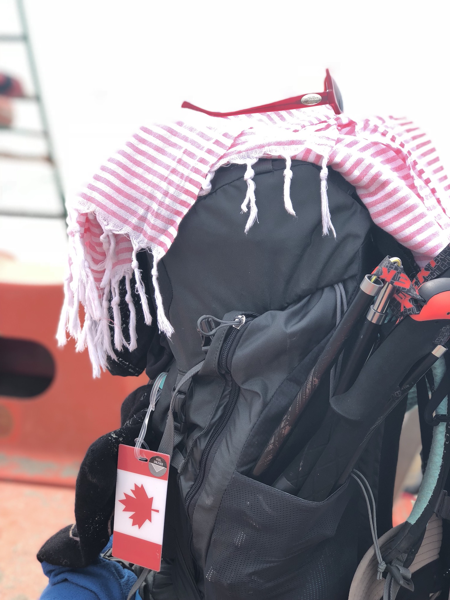 4D6A3CE9-2CA2-456E-B6B5-79235812483D