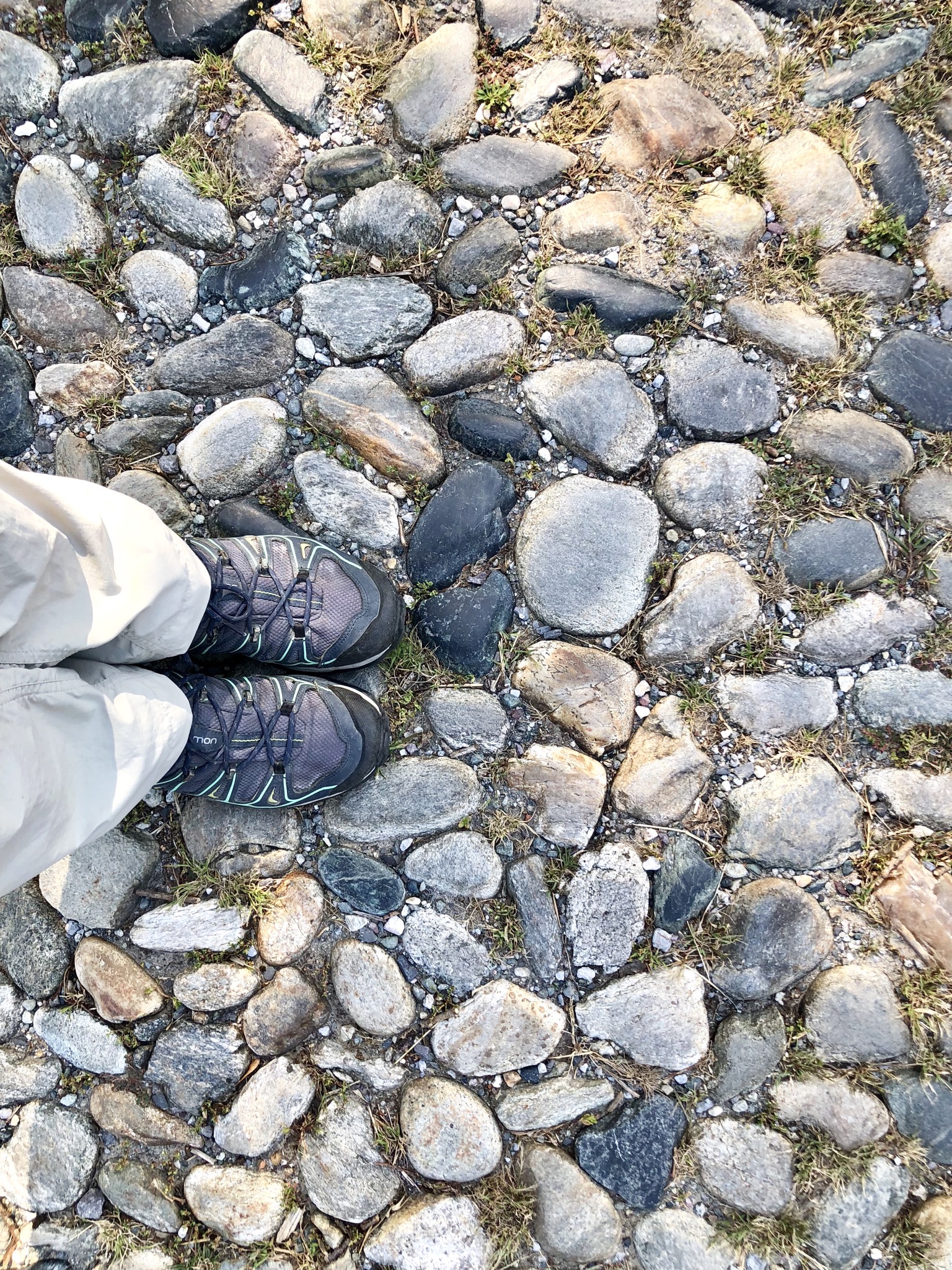 4DFCBDE6-2444-43A8-895C-D6FC0B19DE7A