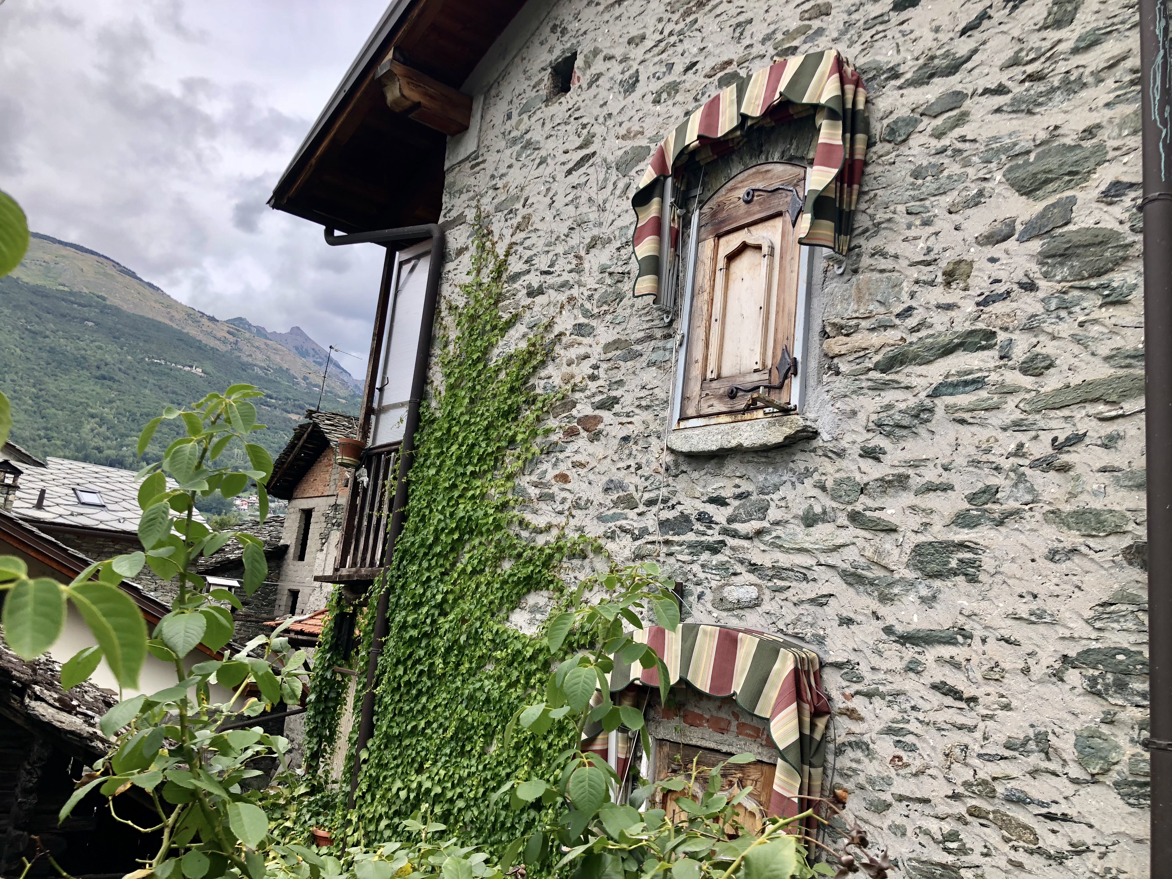 51E0419F-16C5-4062-898B-81908F7F8D9E