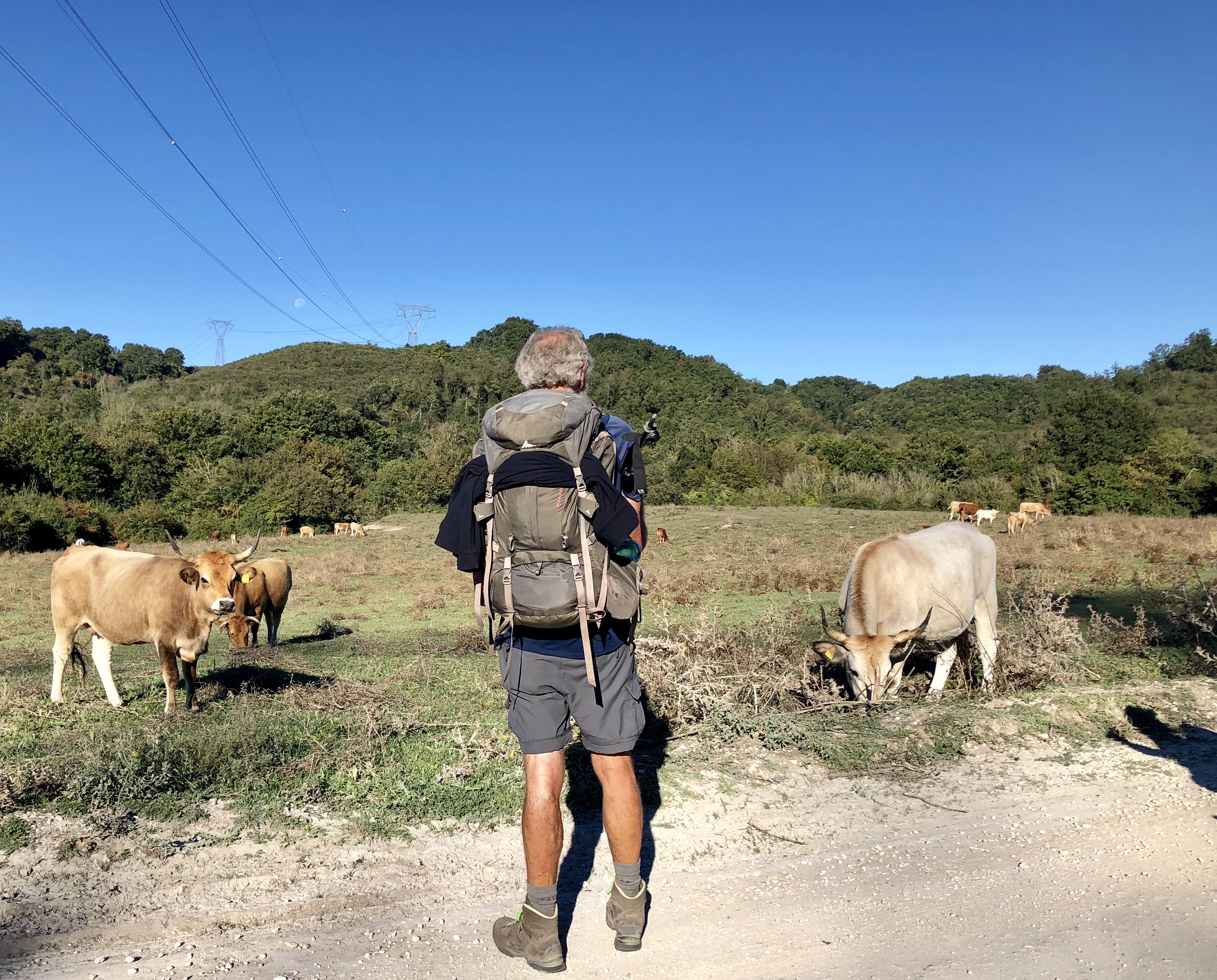 5468489A-B28A-4BFE-A459-A88E426BDFED