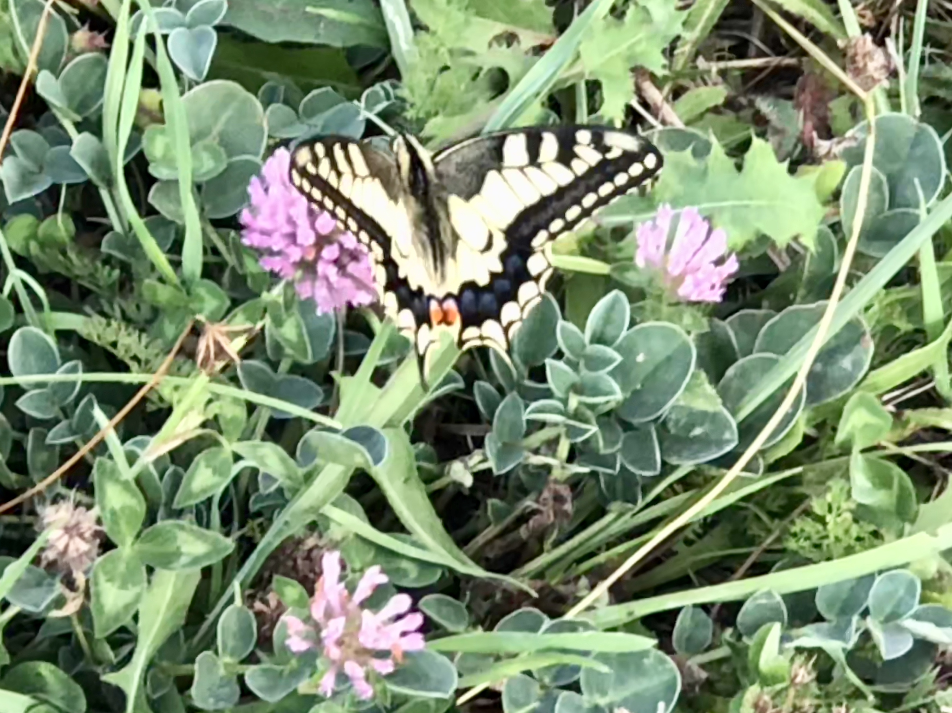 73F6E549-634A-4B7F-B745-BFC020E24297