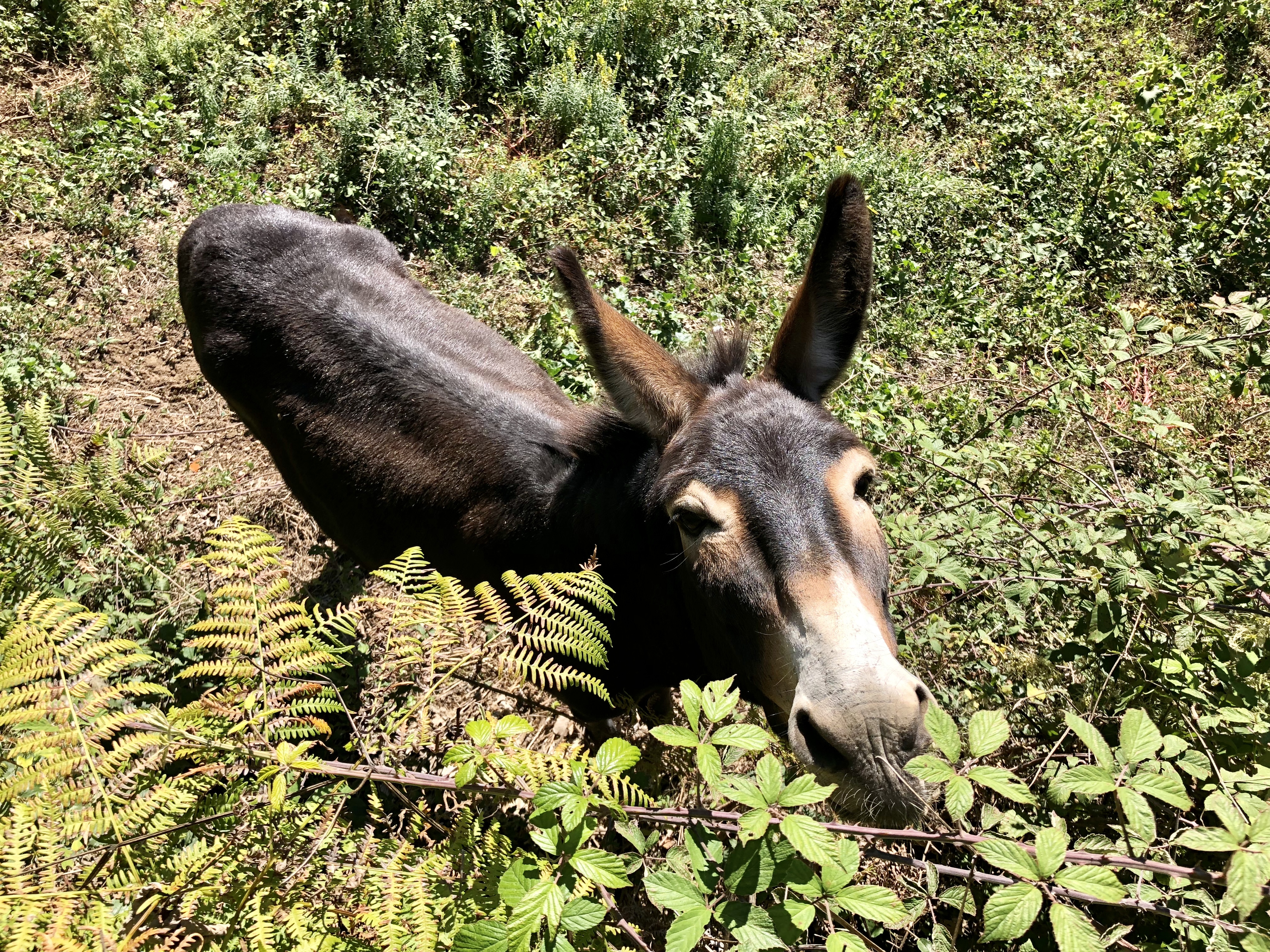 7A2C7B84-E40B-492F-822D-BB36D72806D3