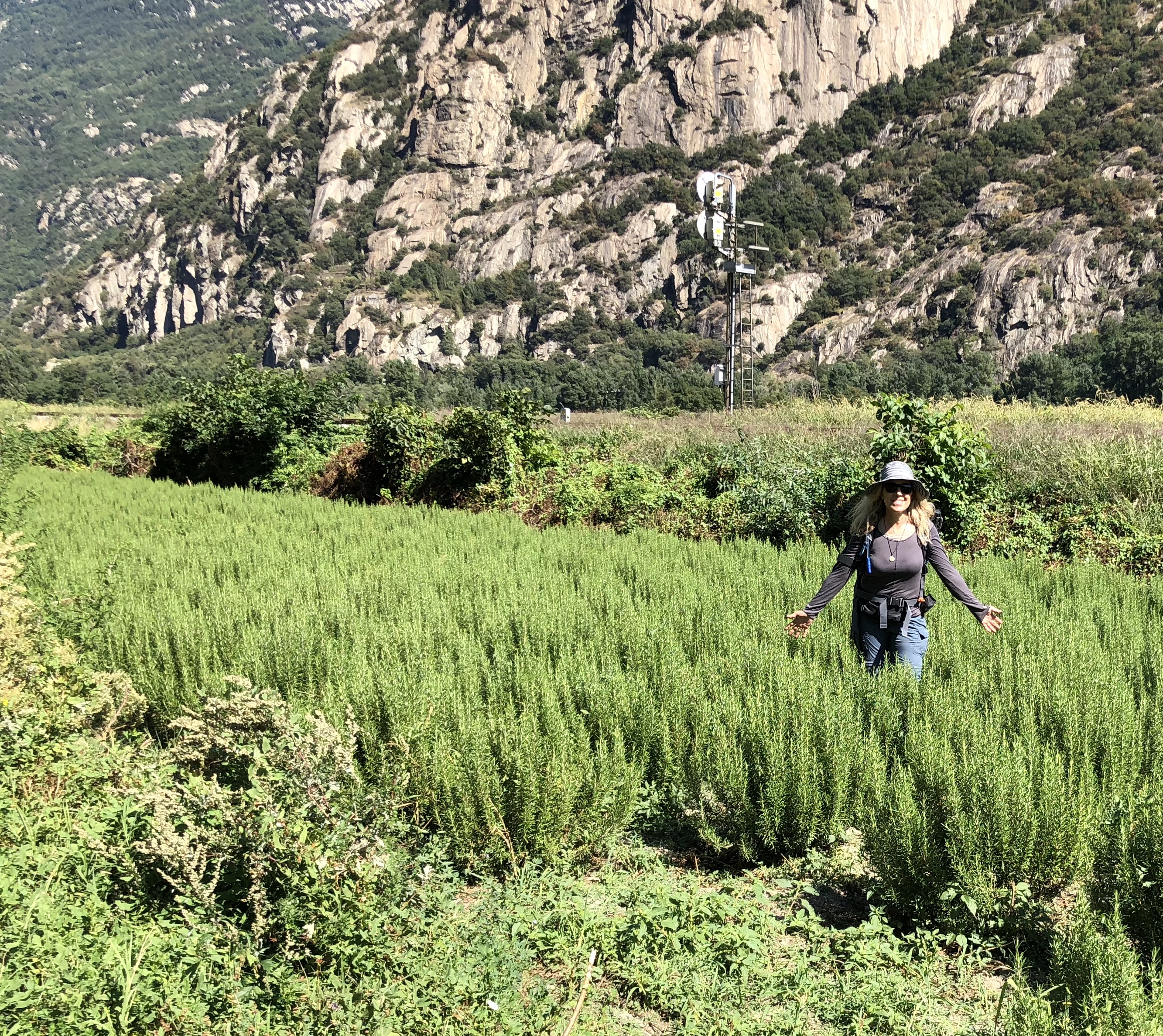 8A88E135-D3B3-46A9-84CF-A06AC5F8E407