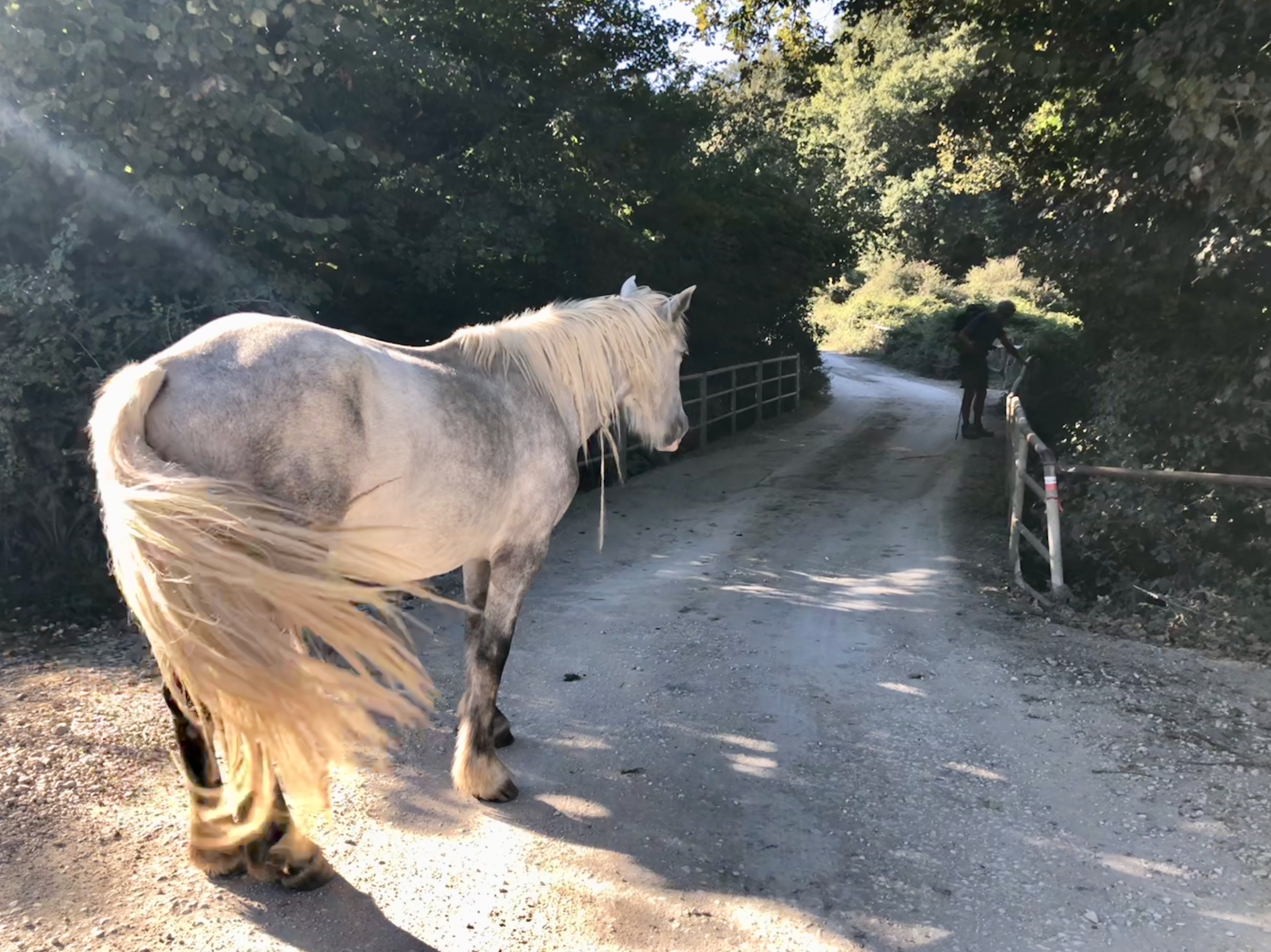 94911F60-6345-4893-A777-8586886F5A63