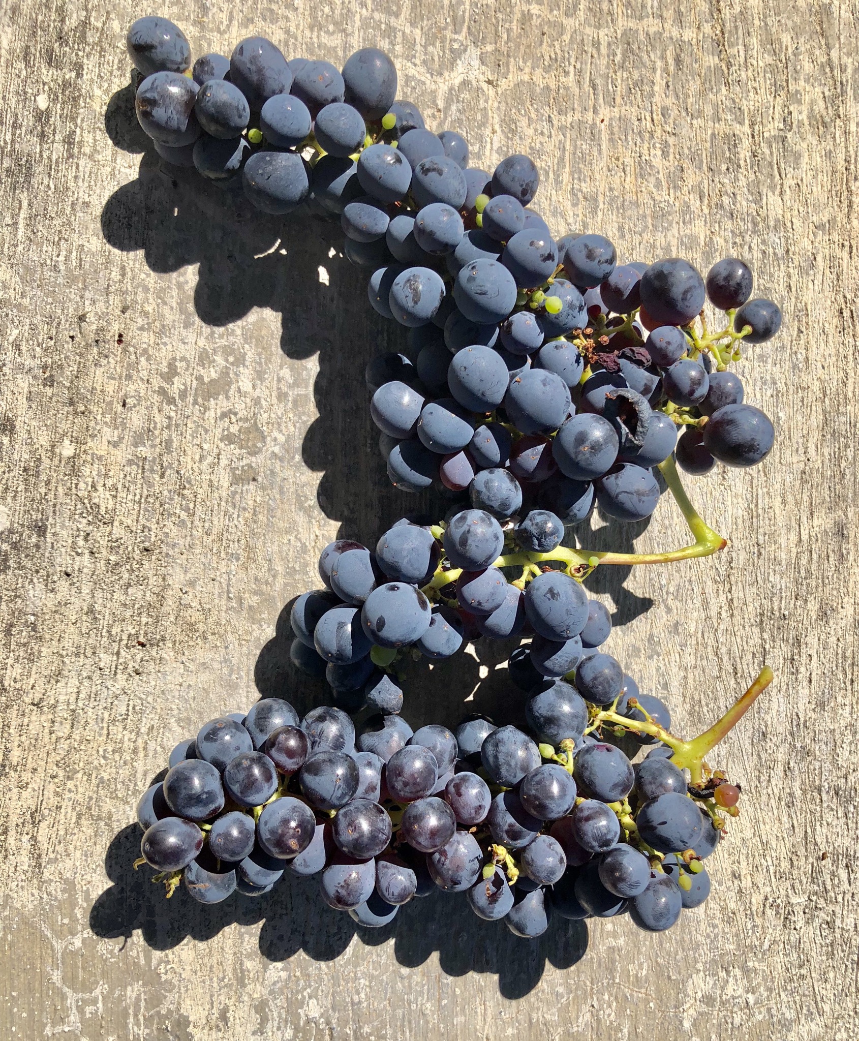 961133A1-C0E7-44AC-8AE4-388A05BDB13F