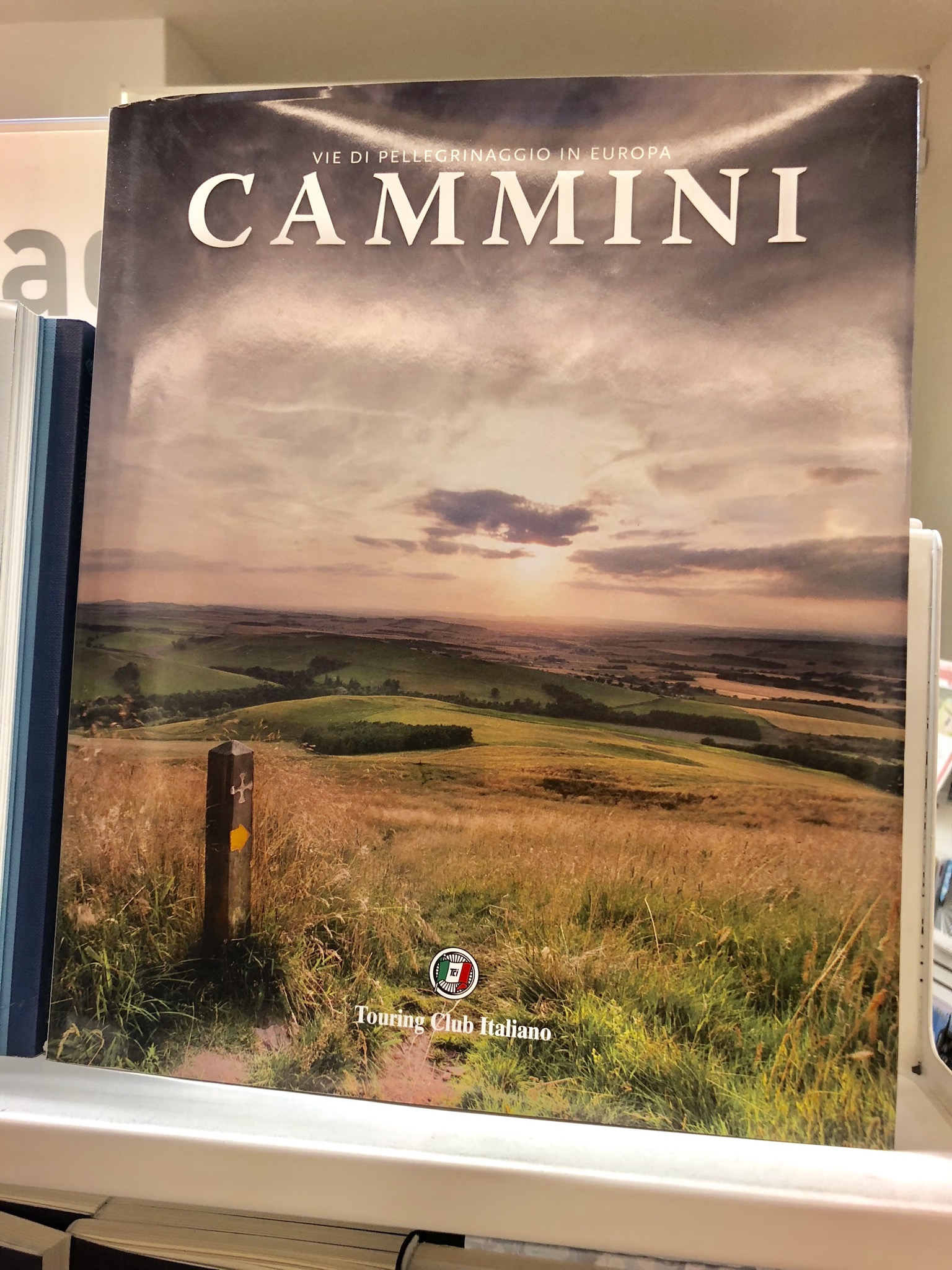 A355A26A-38FC-4343-A7B2-942AF56C0C7E