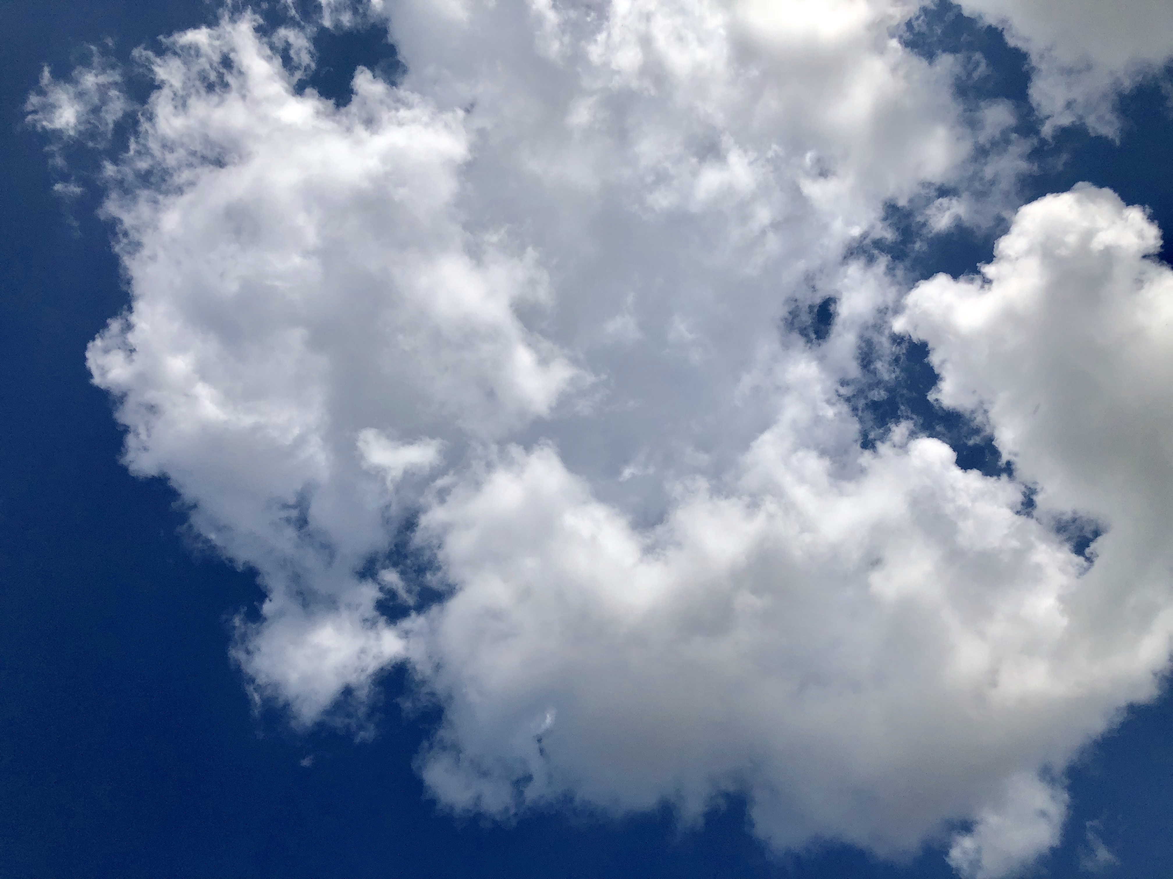 A50773FD-ECAC-4B0D-851D-6AC1797926A8