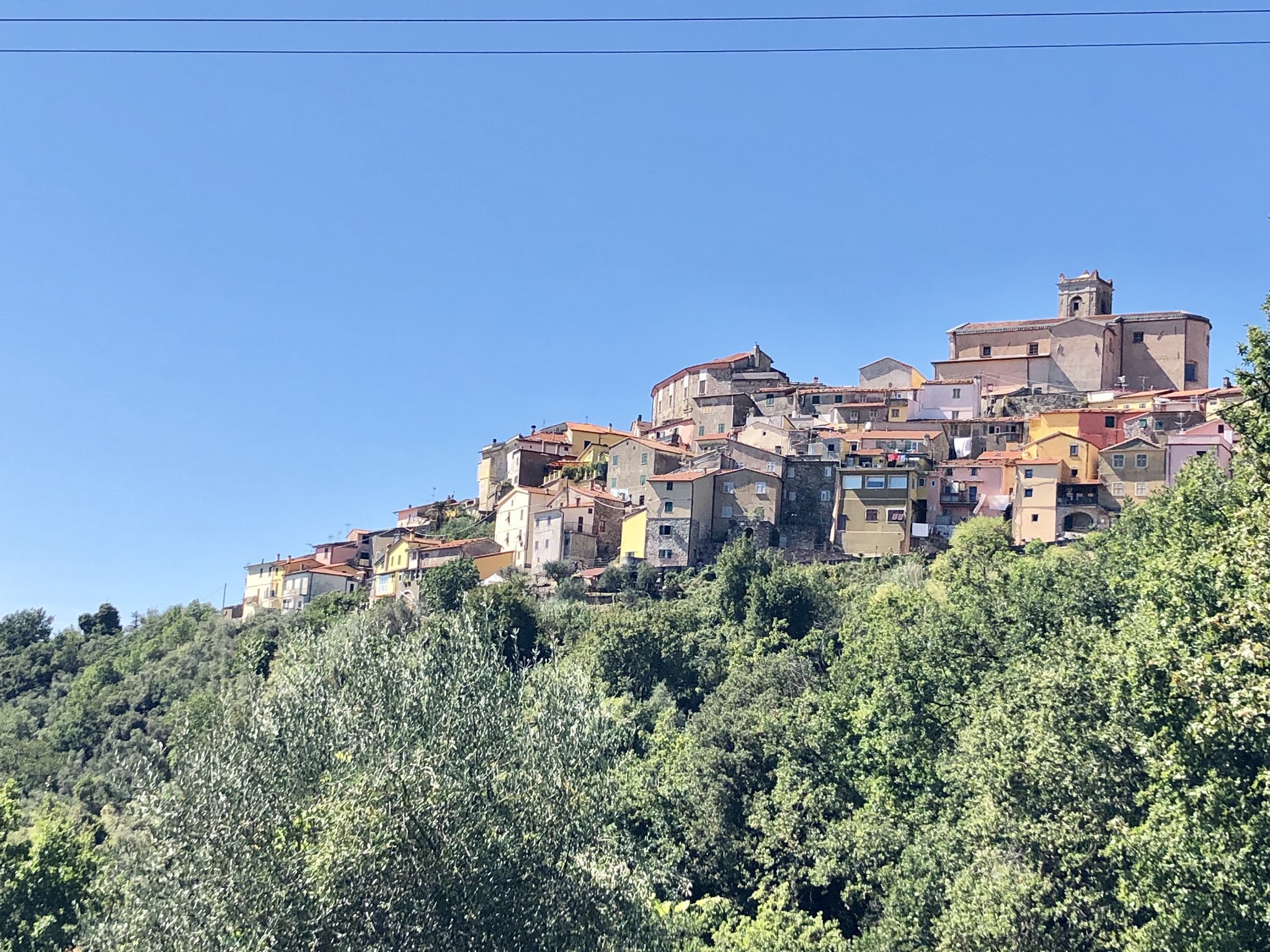 A7CC00D1-DD7E-4843-8BF1-98B8B3A3900A