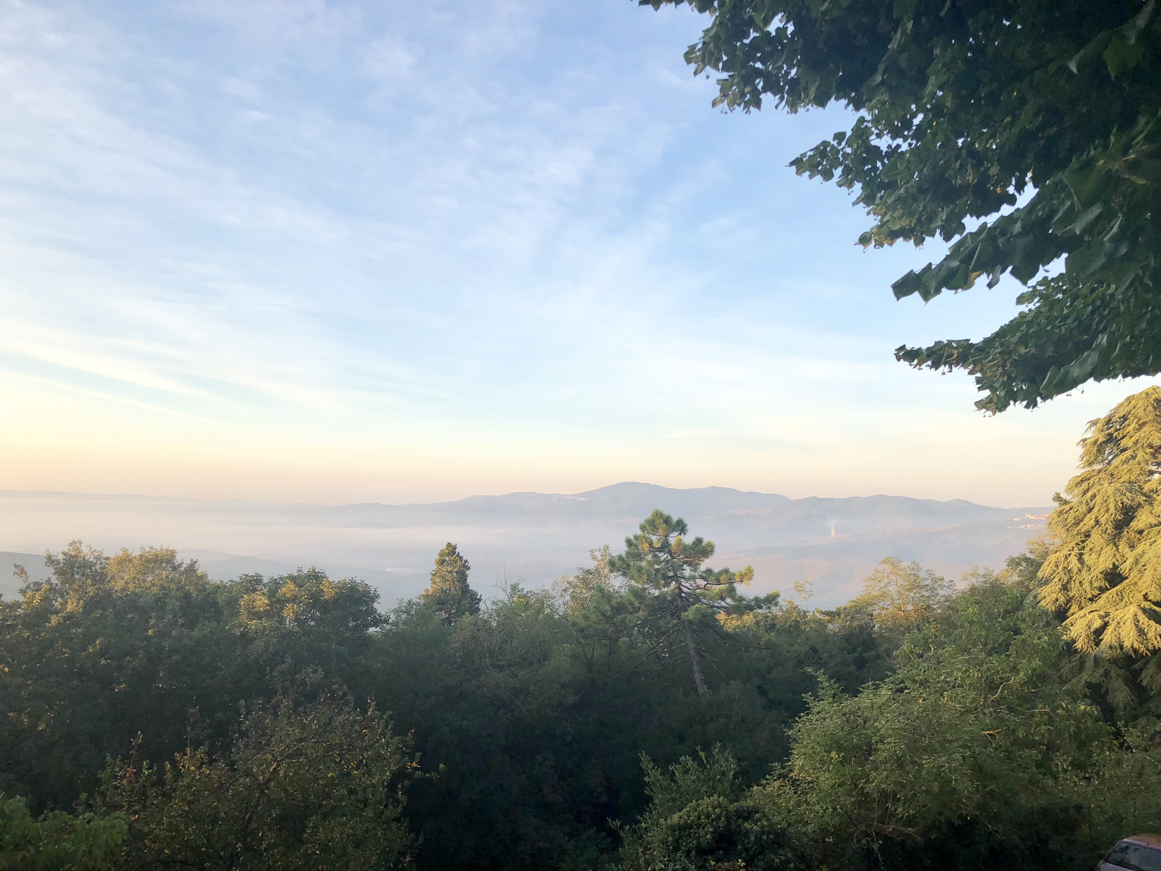 AE7F6EAA-4100-49A9-AC62-D7352040AED1