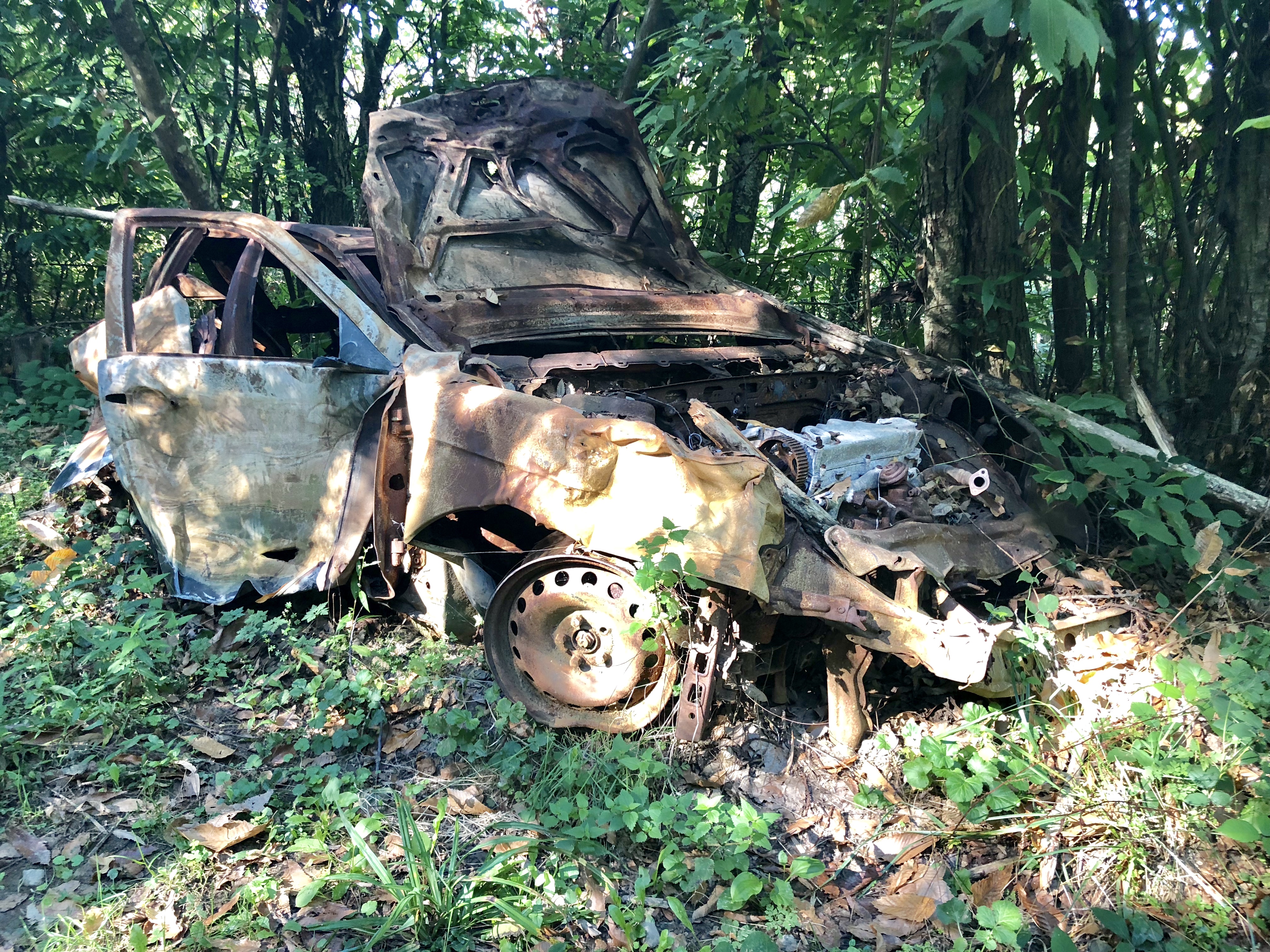 BA8CDAFE-2D6D-4FF0-8ACD-F2A7DB658FDE