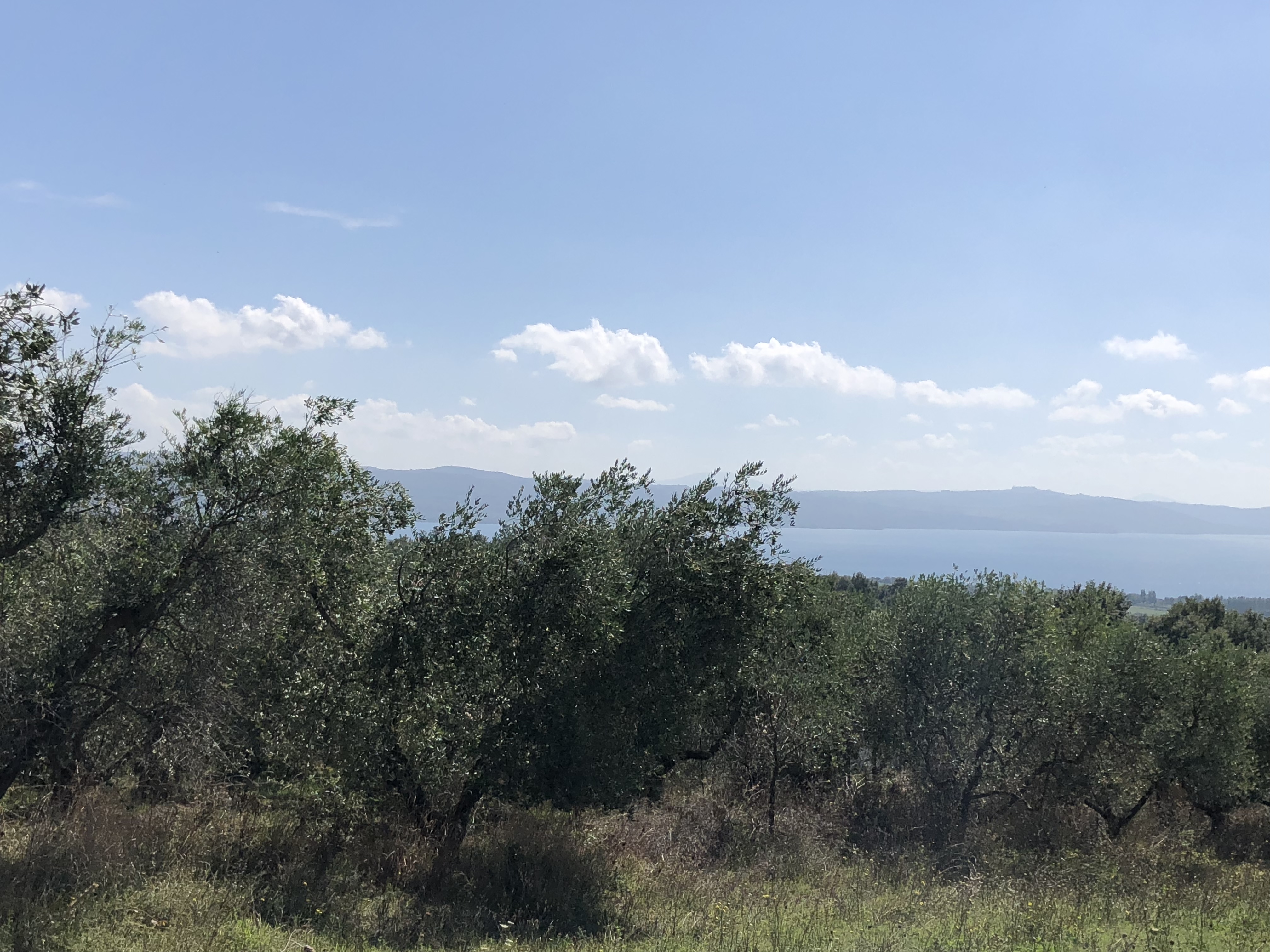 BBA6B725-3592-46A5-93EB-CA5B5088CFED