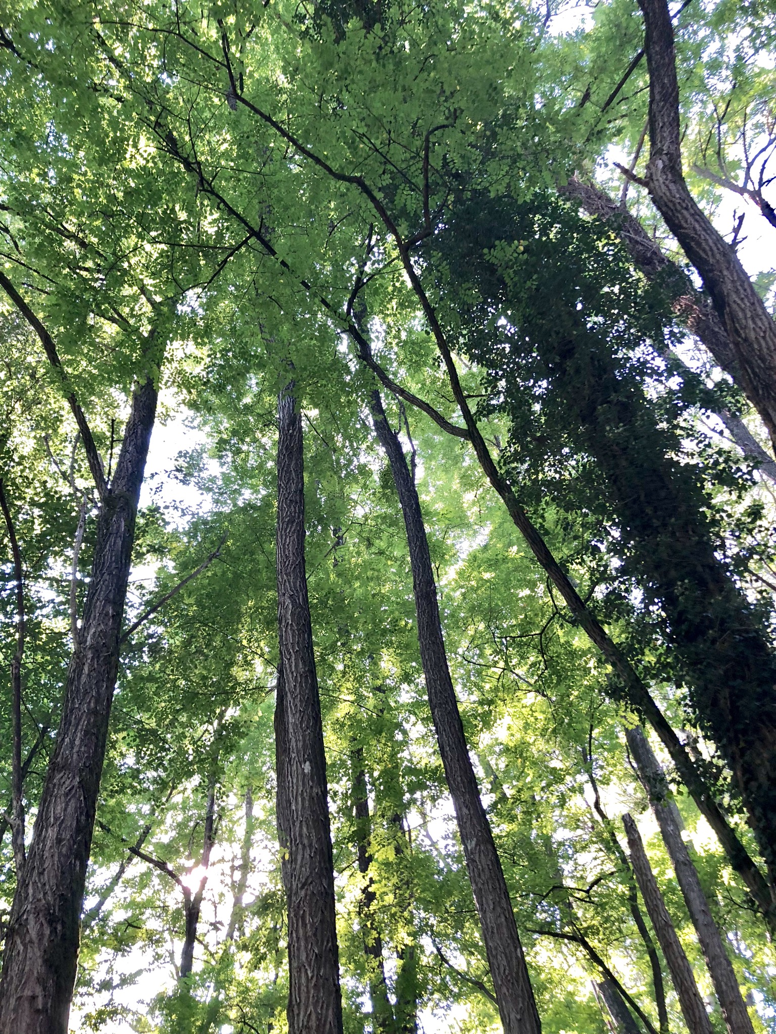 BF596A7F-C647-4036-9161-973A8377FBE2