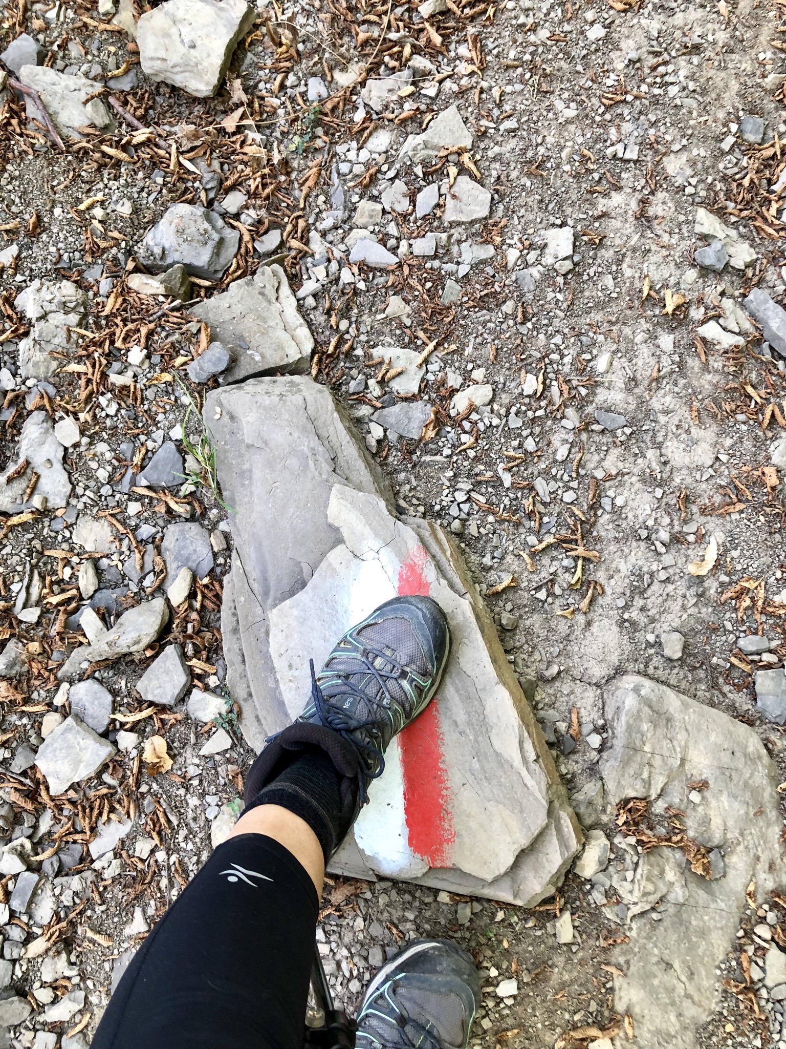 BF65AD5E-F307-4F36-83B6-6B00ABD79C21