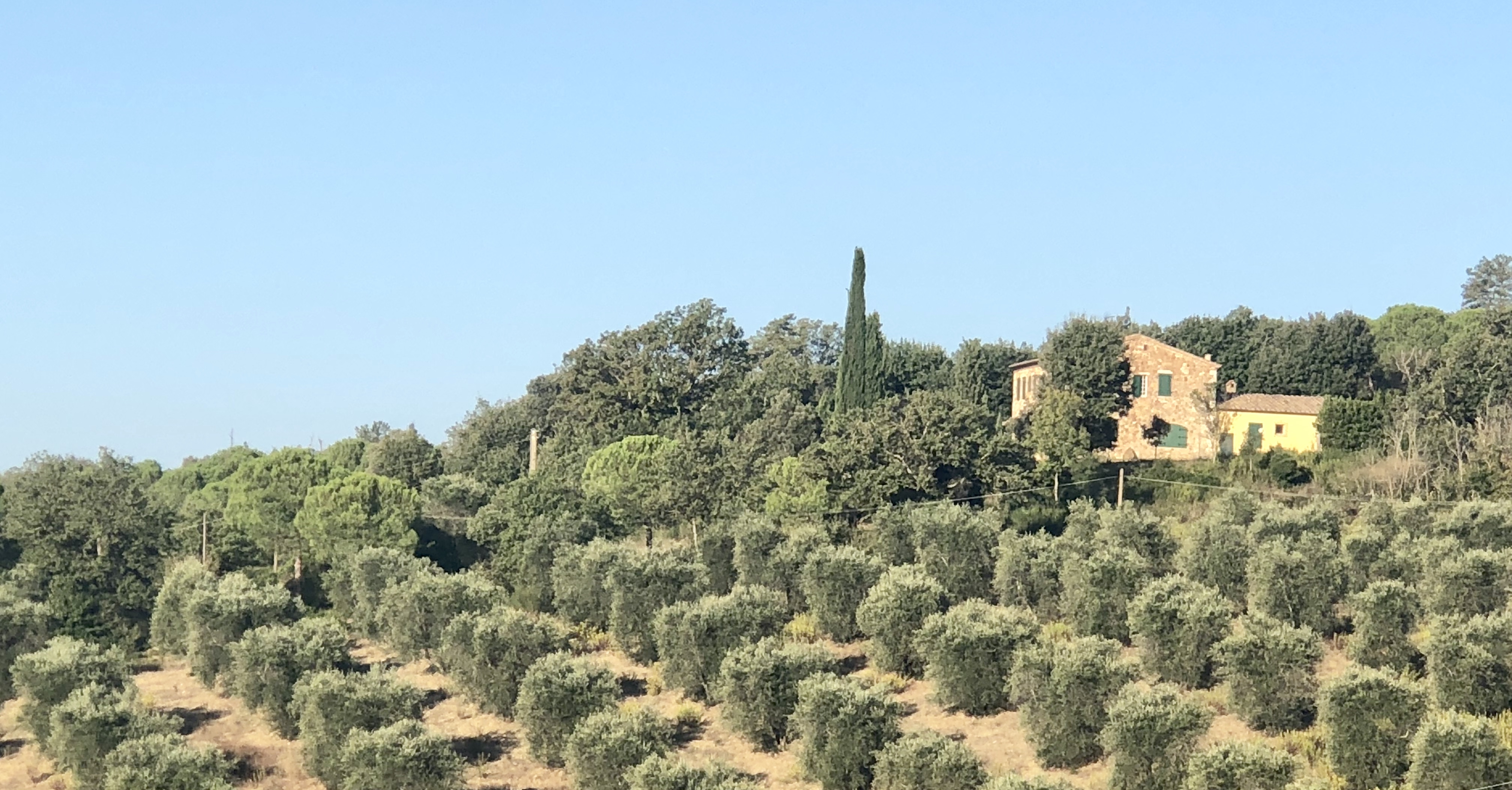 C0ED0C2B-F75A-4487-B7CB-07D44A87EFD1