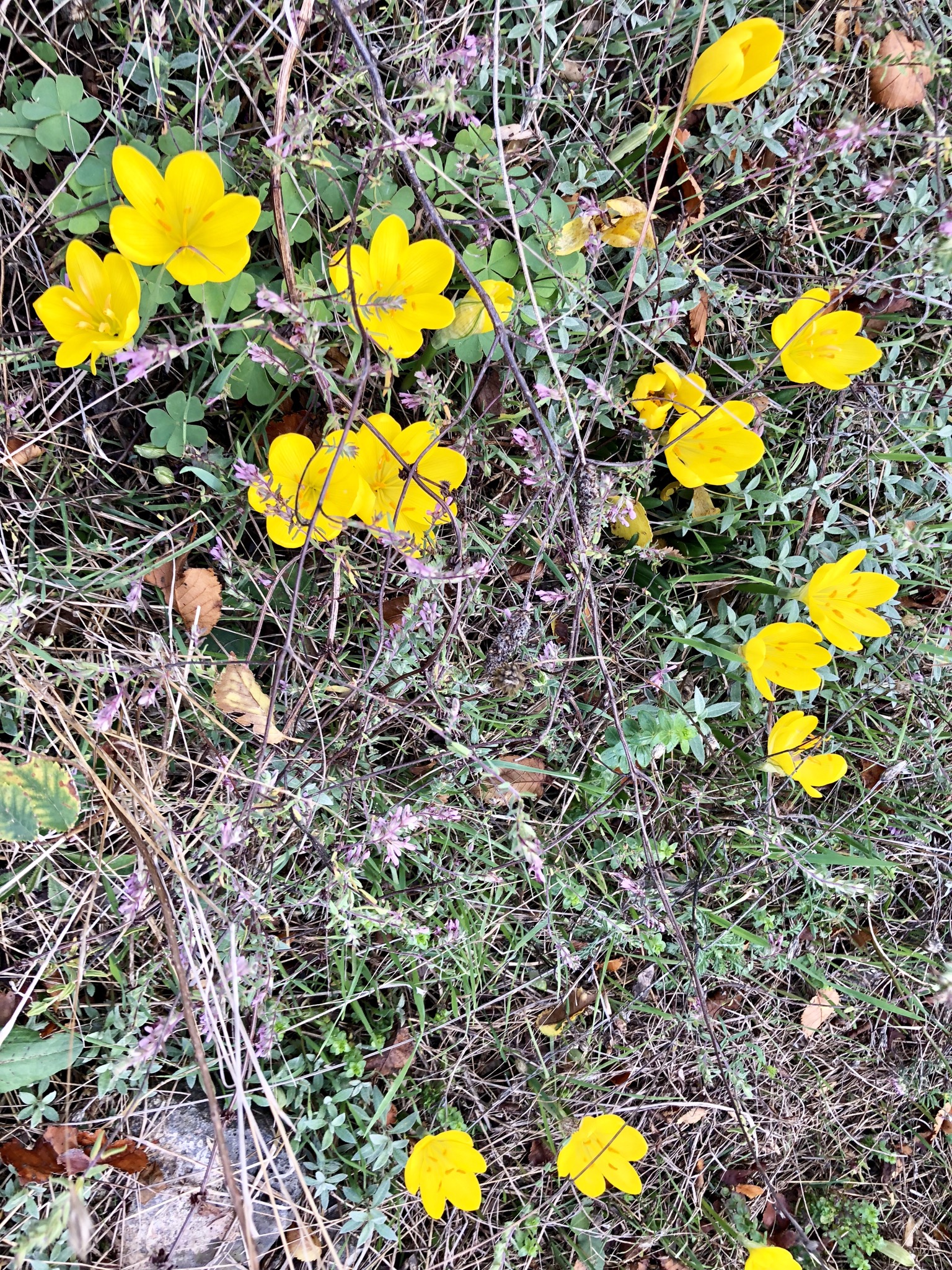 C2C188E7-3687-4803-96ED-9C515A6A6EB2