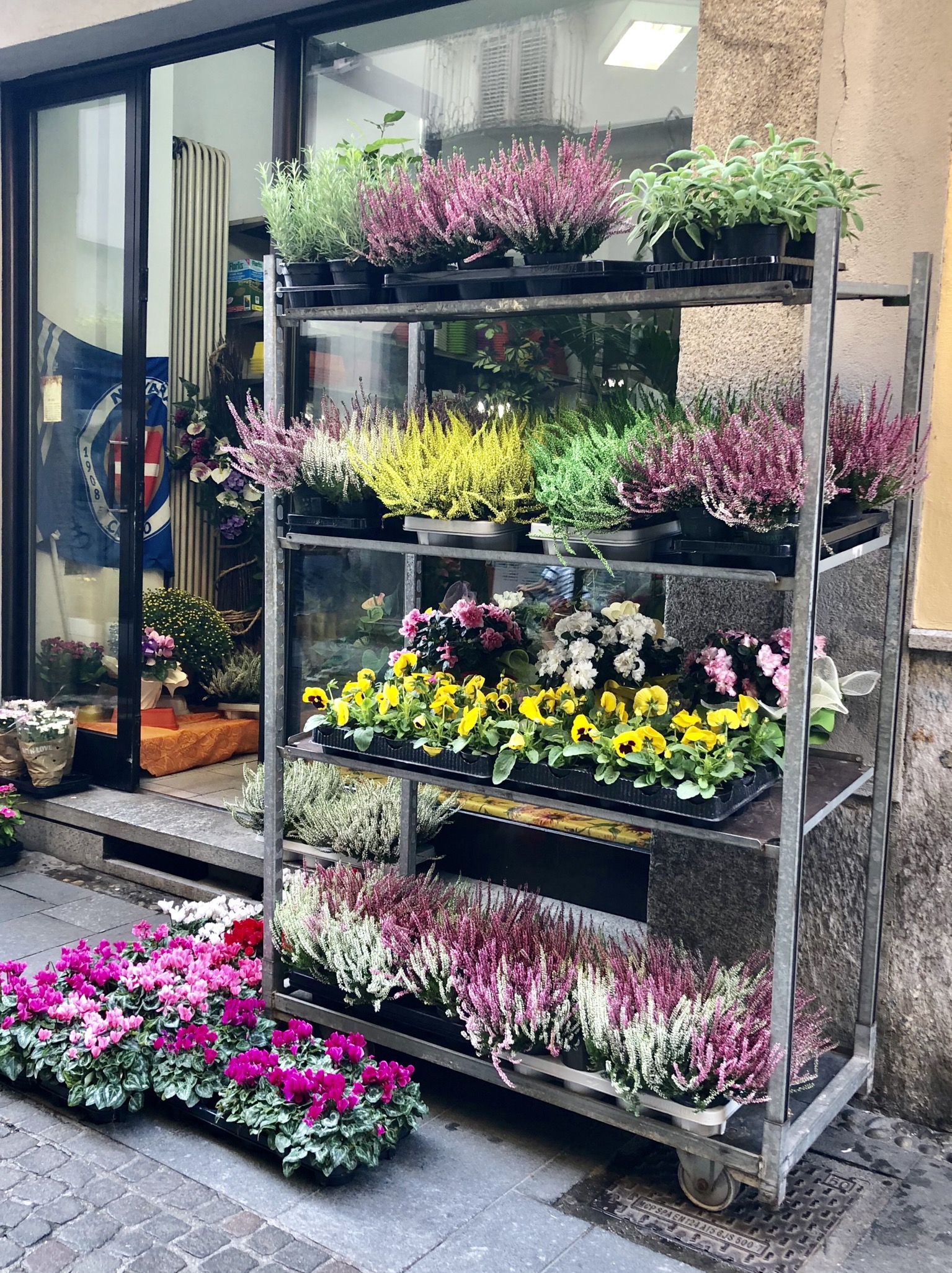 D430034F-9A28-48BE-8F7D-AE5AA8C41532