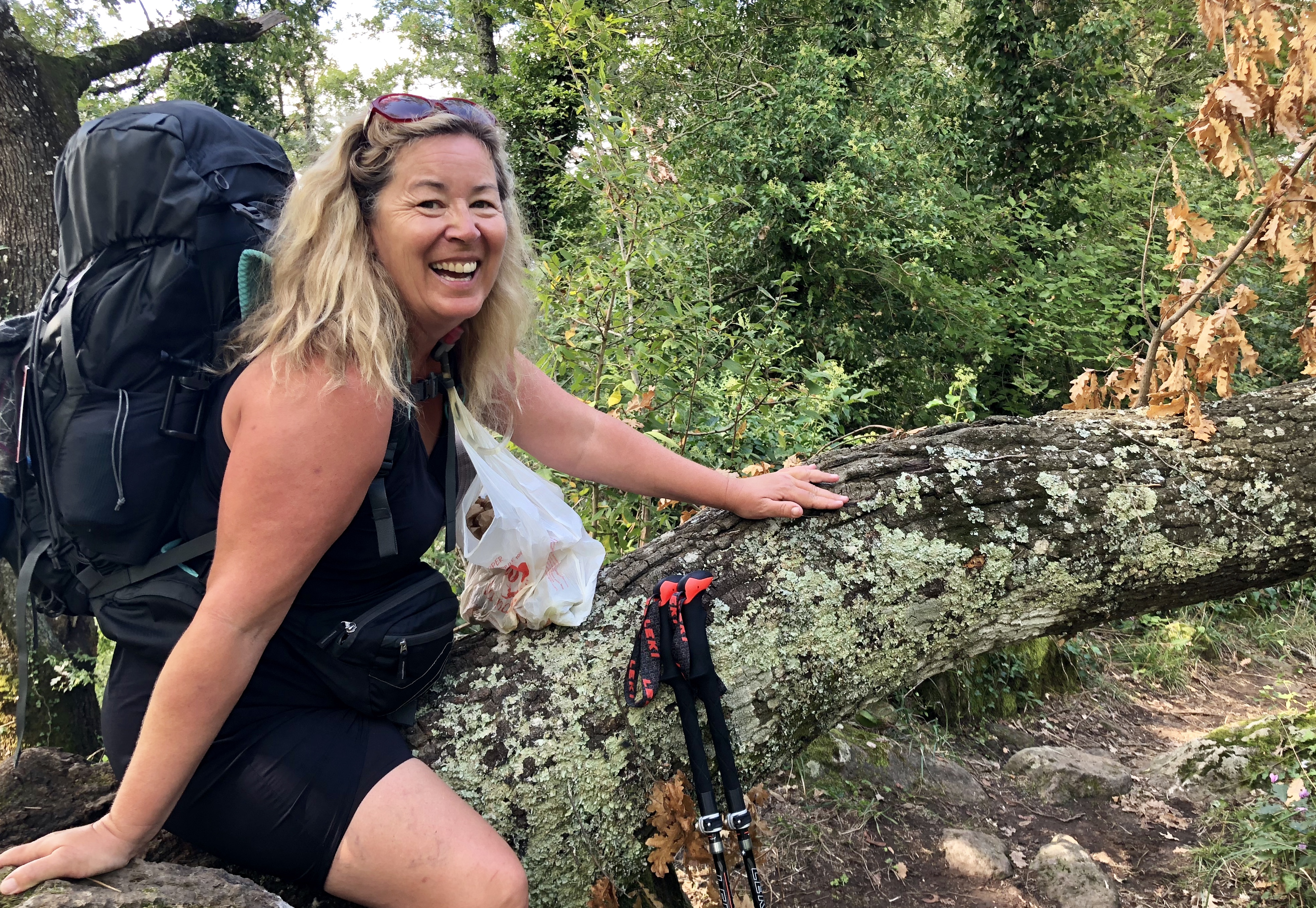 DE37D202-9FBD-4AB4-9145-EEAF6B171C70