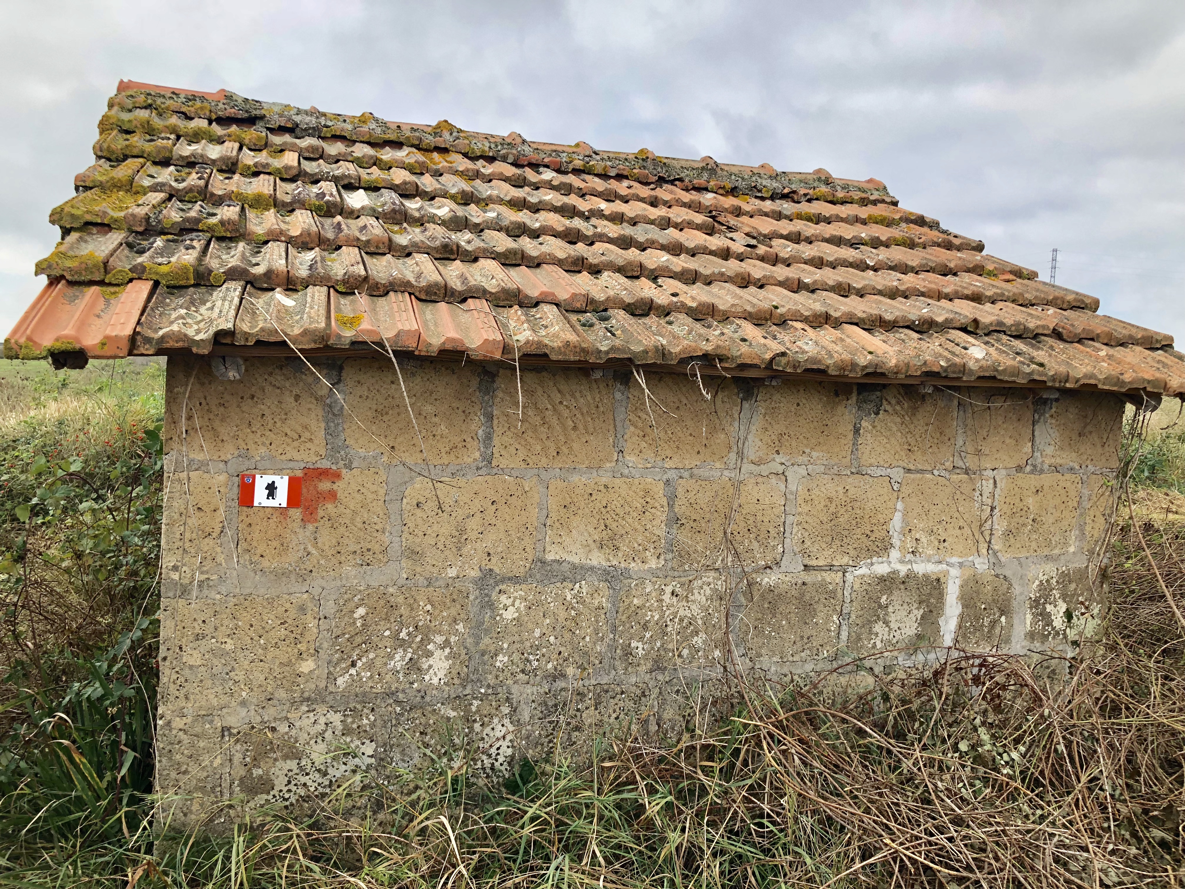 E2BA289F-7B31-45B8-B16B-62B6B8CC8754