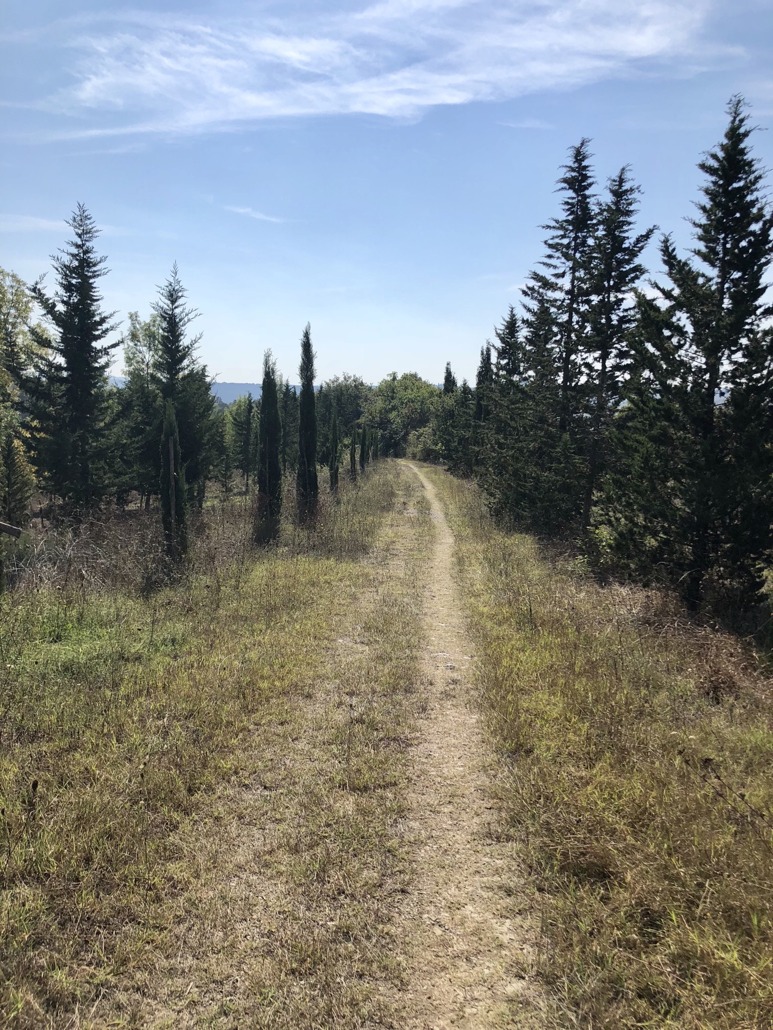 E5EB039C-6F5F-4093-8EC1-39E01ABA433F