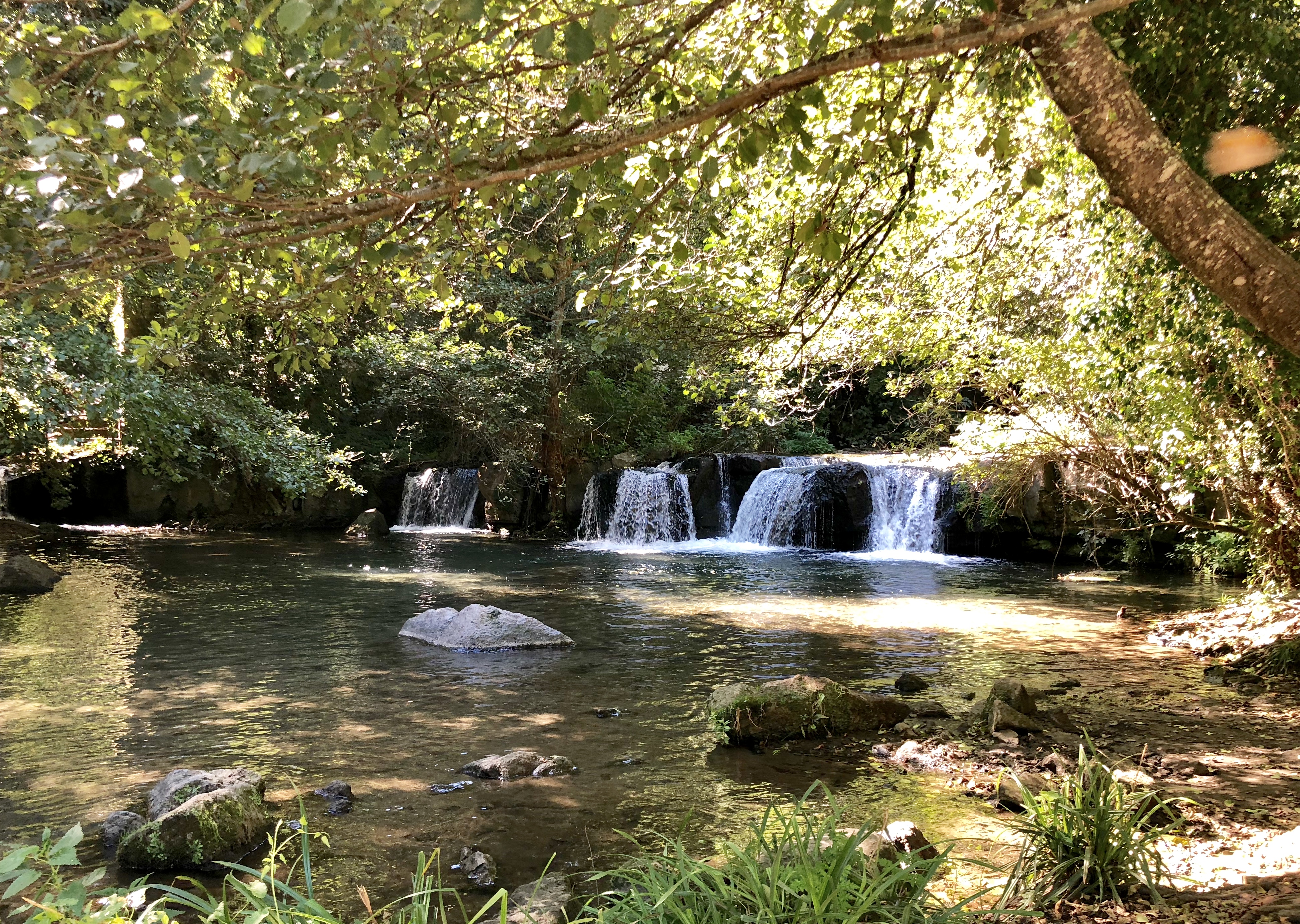 ED534C8D-7BC3-4393-9619-7CA7B01C2F9E